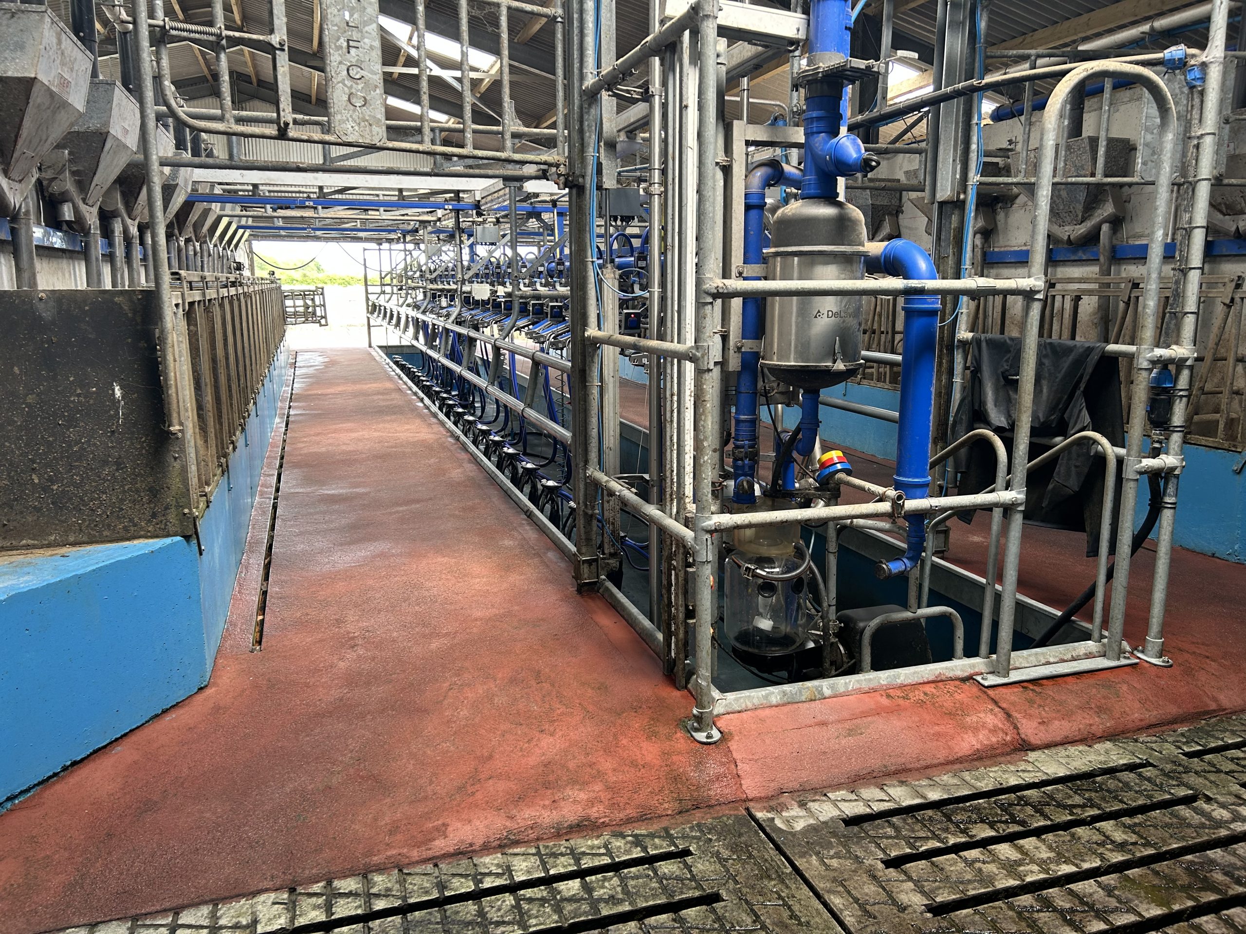 The 20-unit DeLaval parlour on the farm