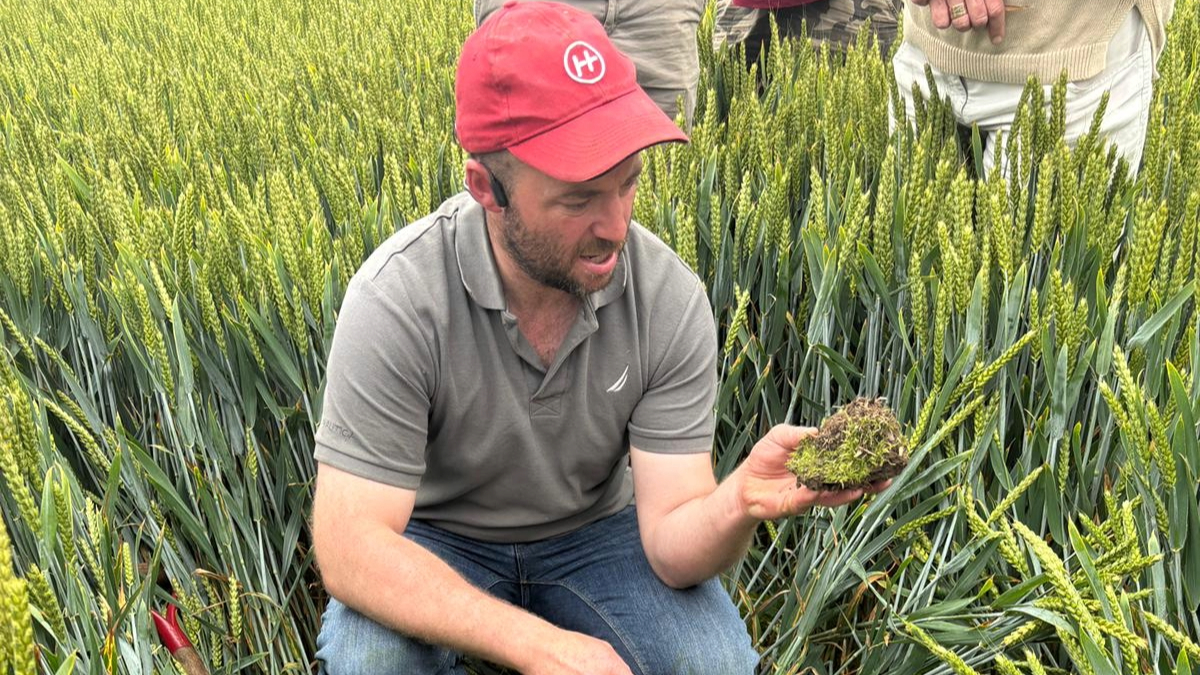 Louis McAuley demonstrating improved soil structure