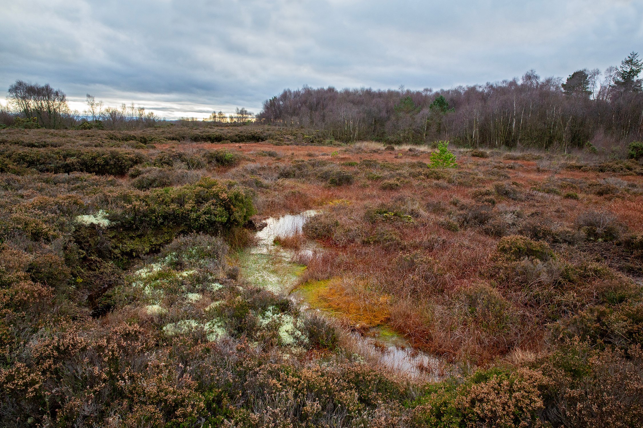 Part of Irish Architecture Bog Bothy Project Commission 2023-2024. Source: Shane Hynan