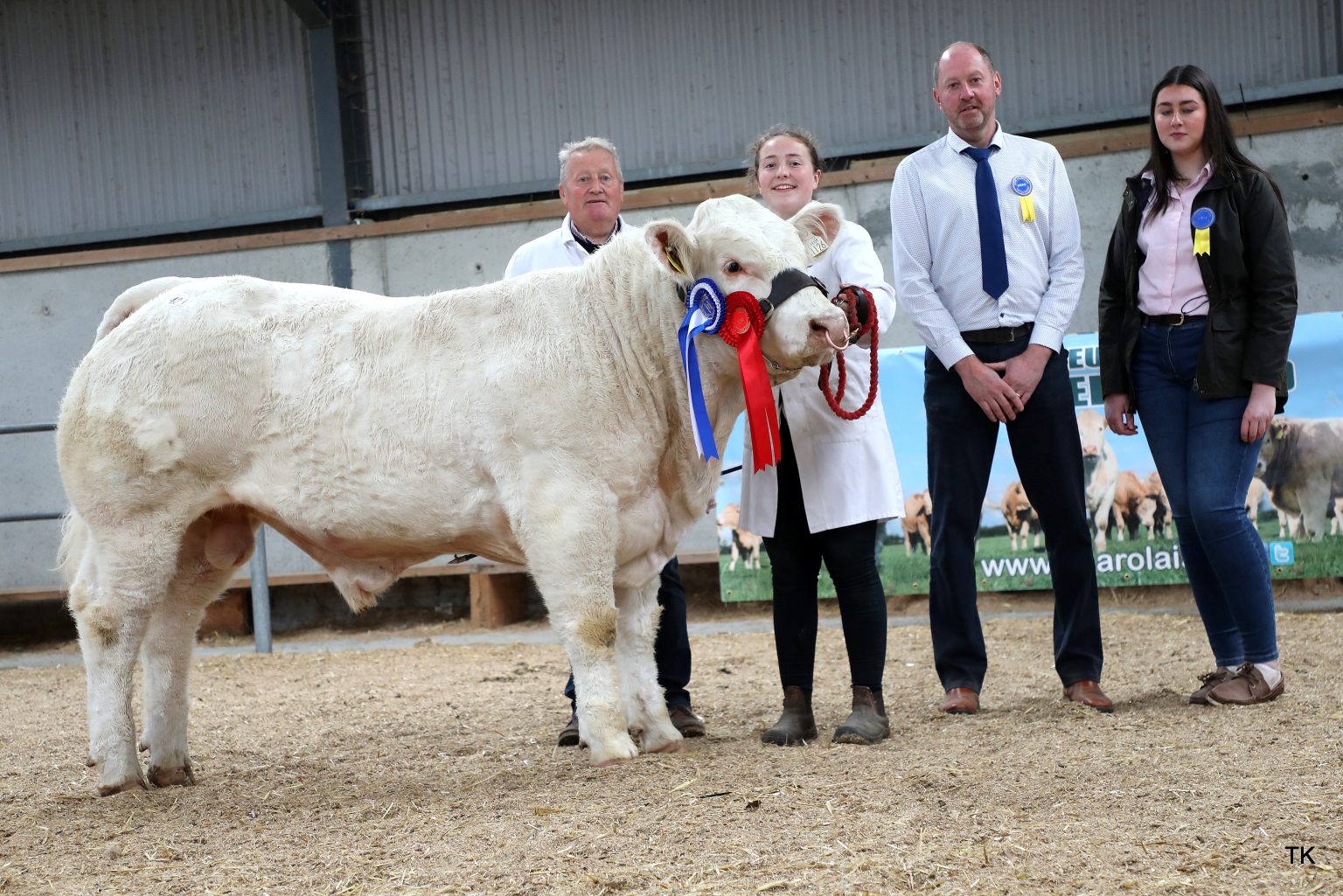 Reserve Junior Champion Currycramp V Phantom sold for €6,000