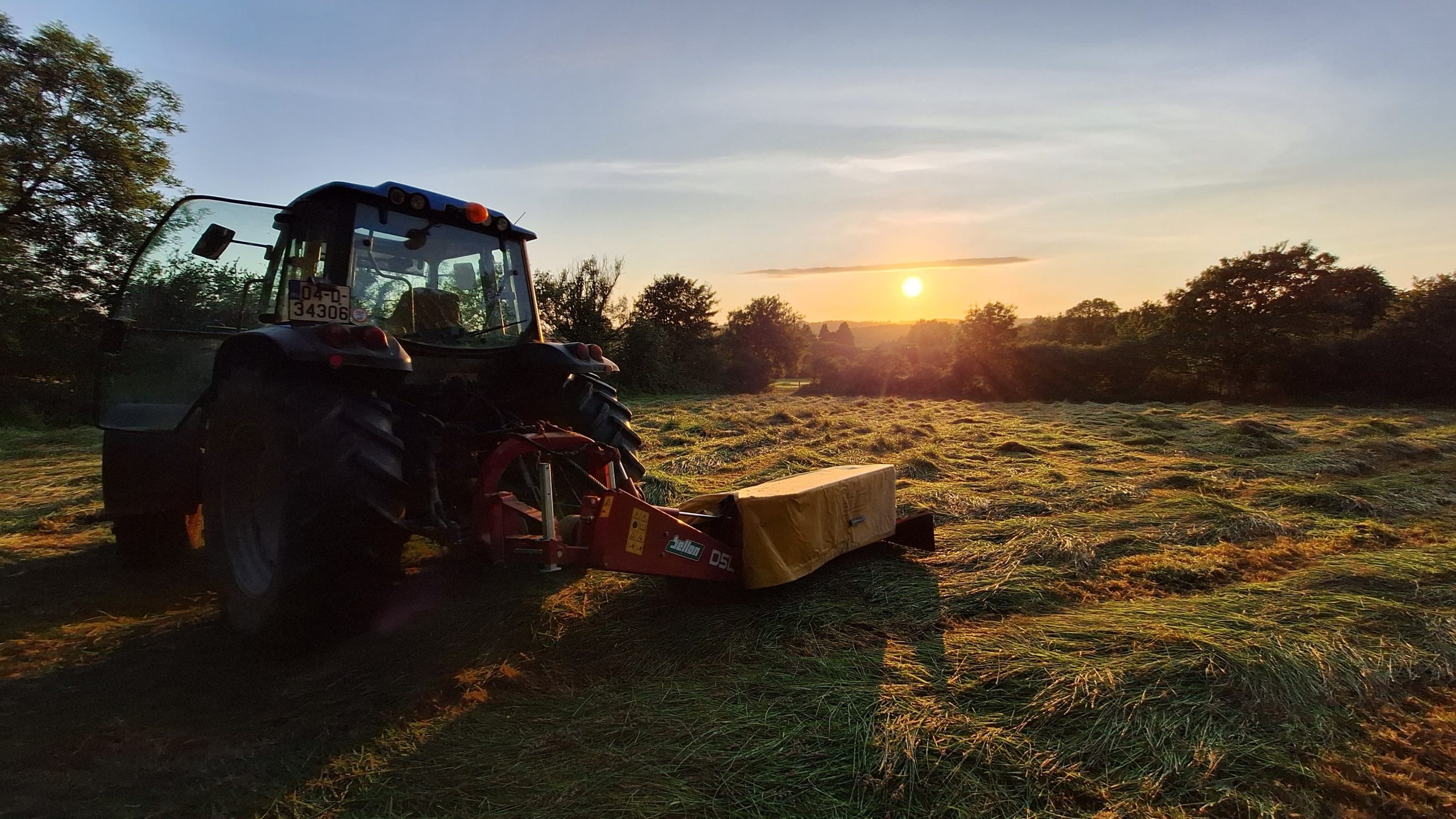 Cutting the hay Image: Jer O'Mahony, Wexford