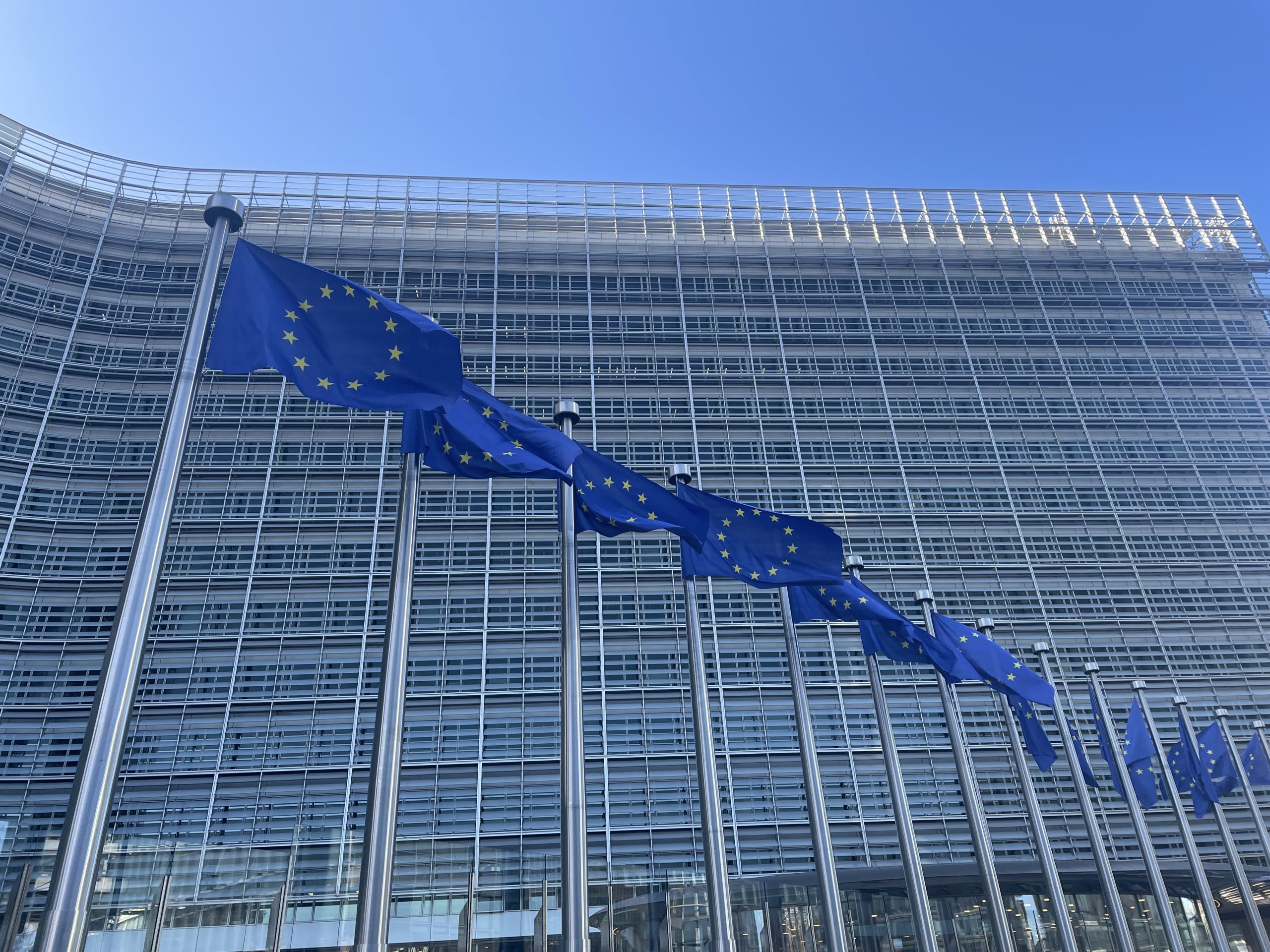 EU flags outside the European Commission in Brussels