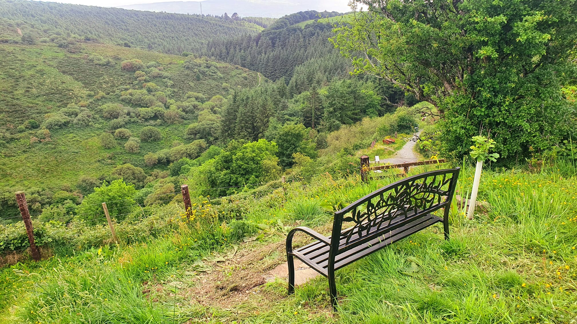 Glanageenty looped walks in Co. Kerry Source: John Lenihan