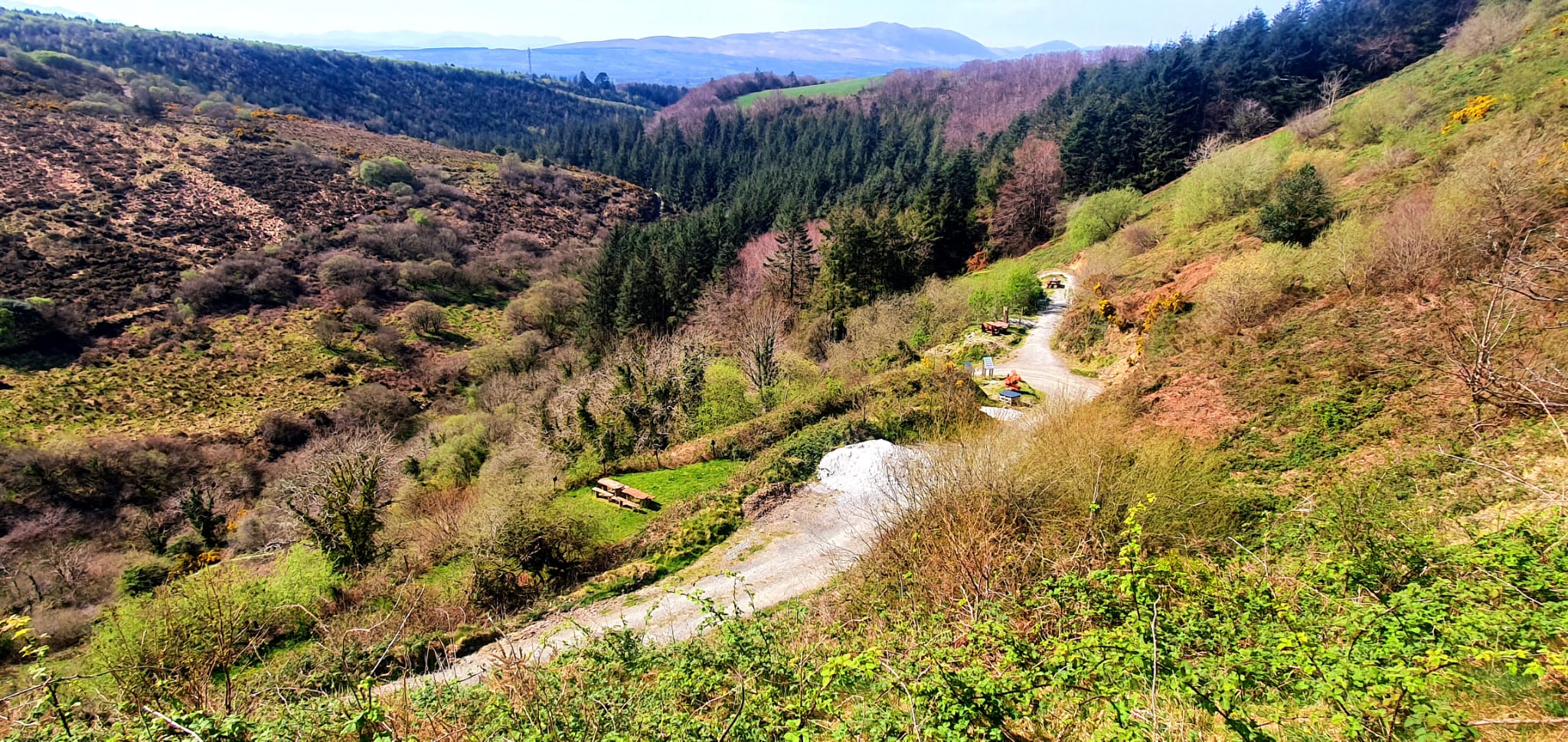 Glanageenty walkway attracts thousands of people each year Source: John Lenihan