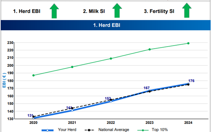Walshs' herd EBI progress from 2020-2024