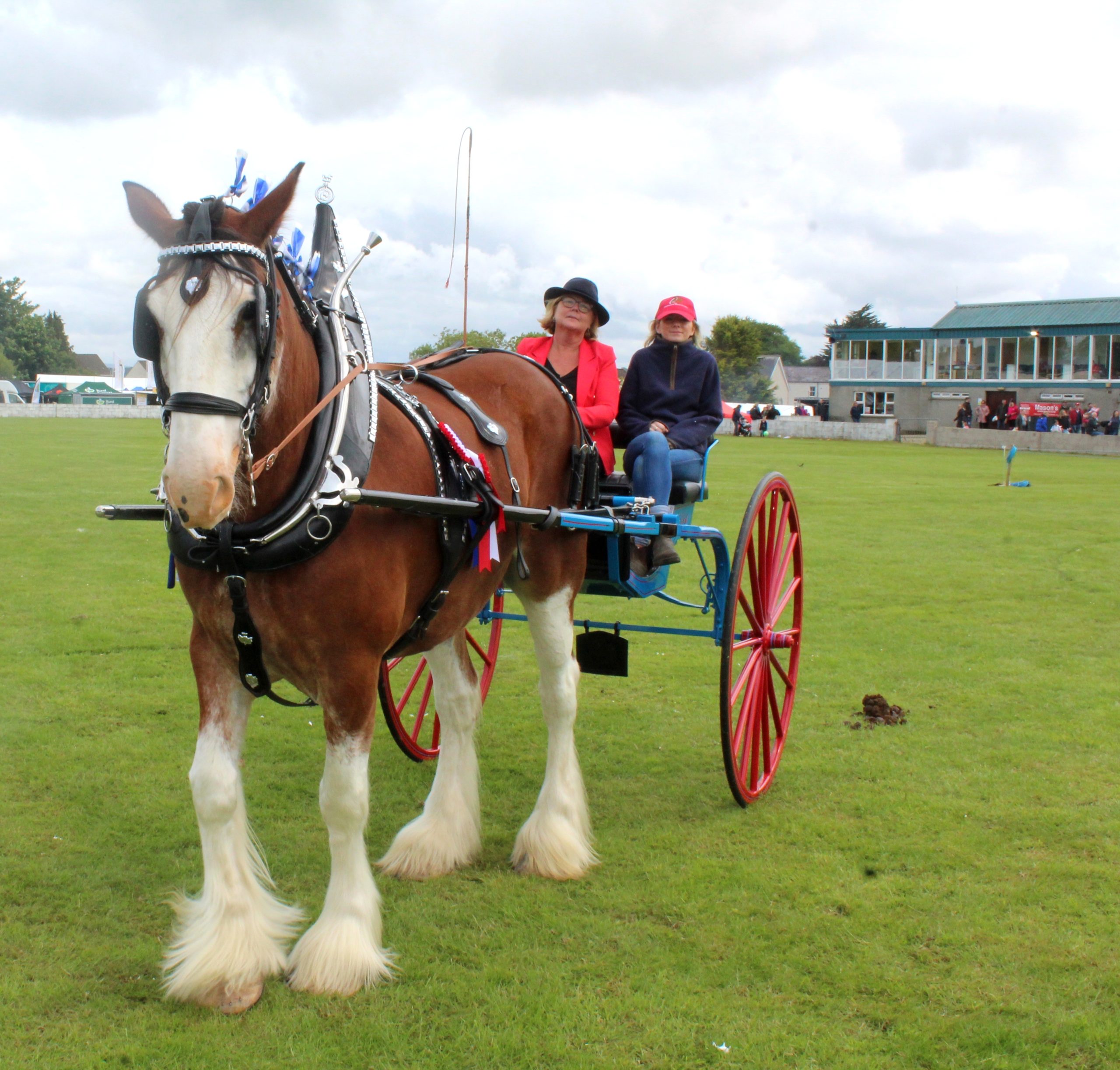 Clydesdale horses featured prominently at this year's Ballymoney Show