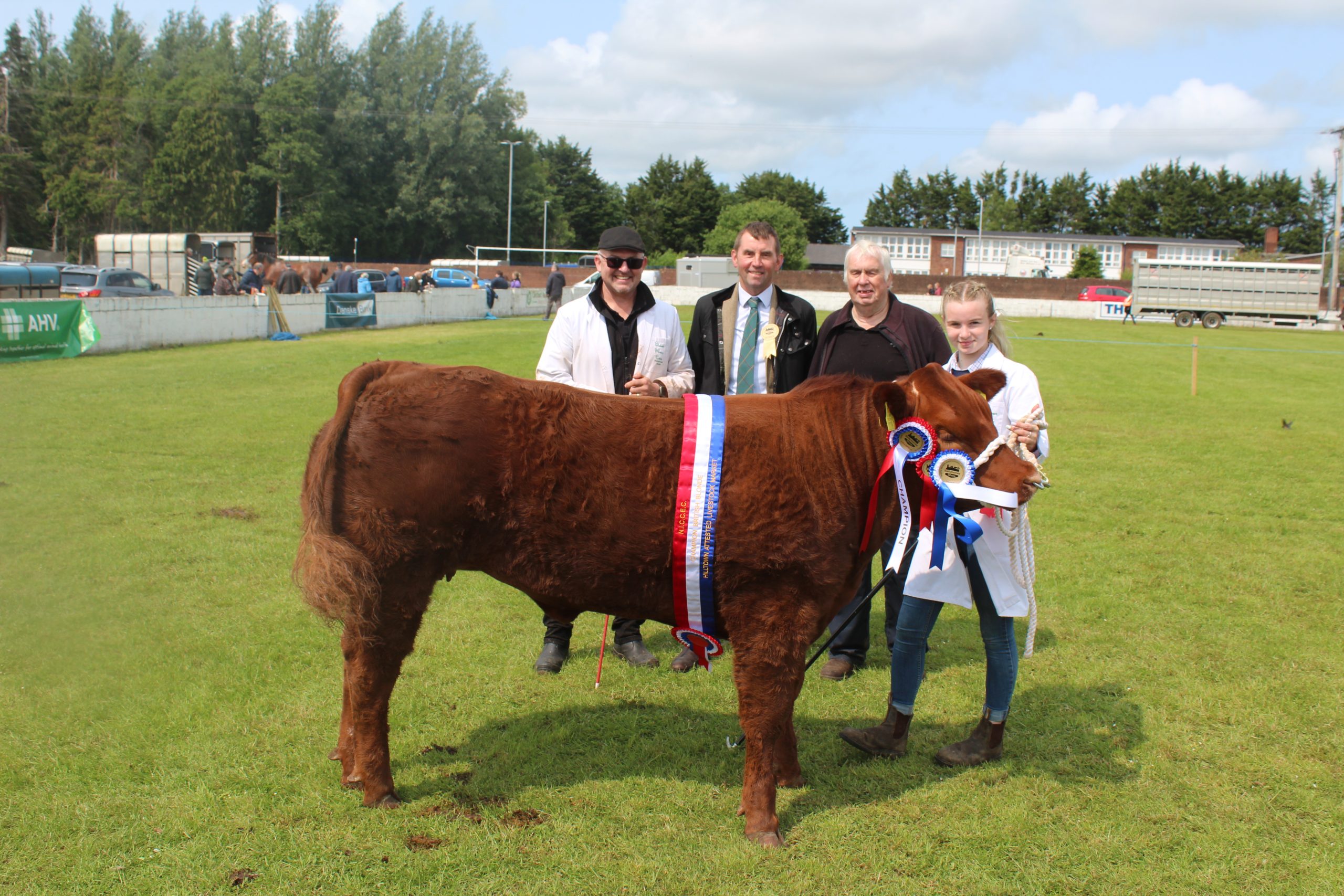 The Commercial Beef Champion at this year's Ballymoney Show