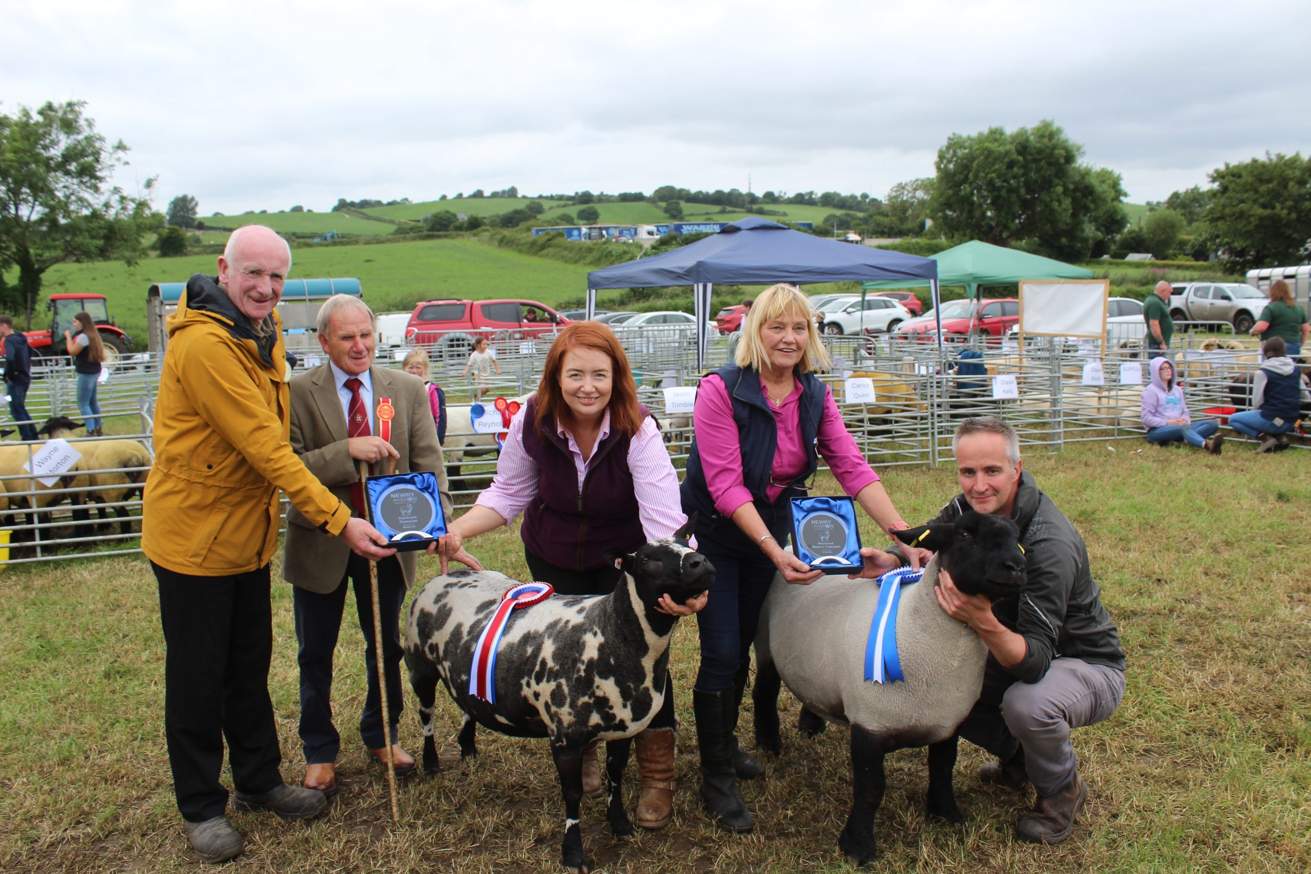 The sheep inter-breed champion (left) and reserve at Newry Show 2025