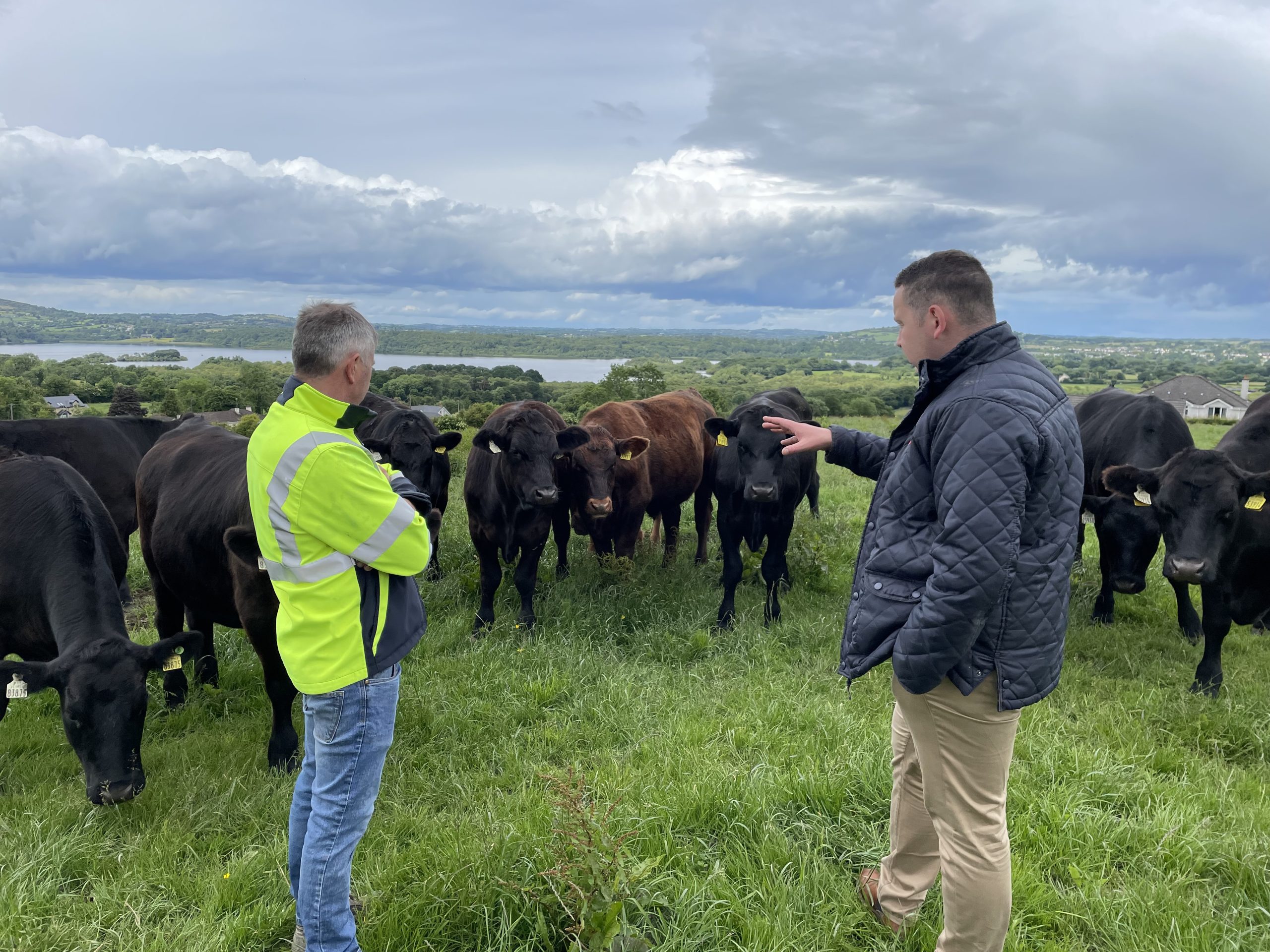 Paraic discussing the performance of his cattle with ABP farm liaison officer Oisin Lynch