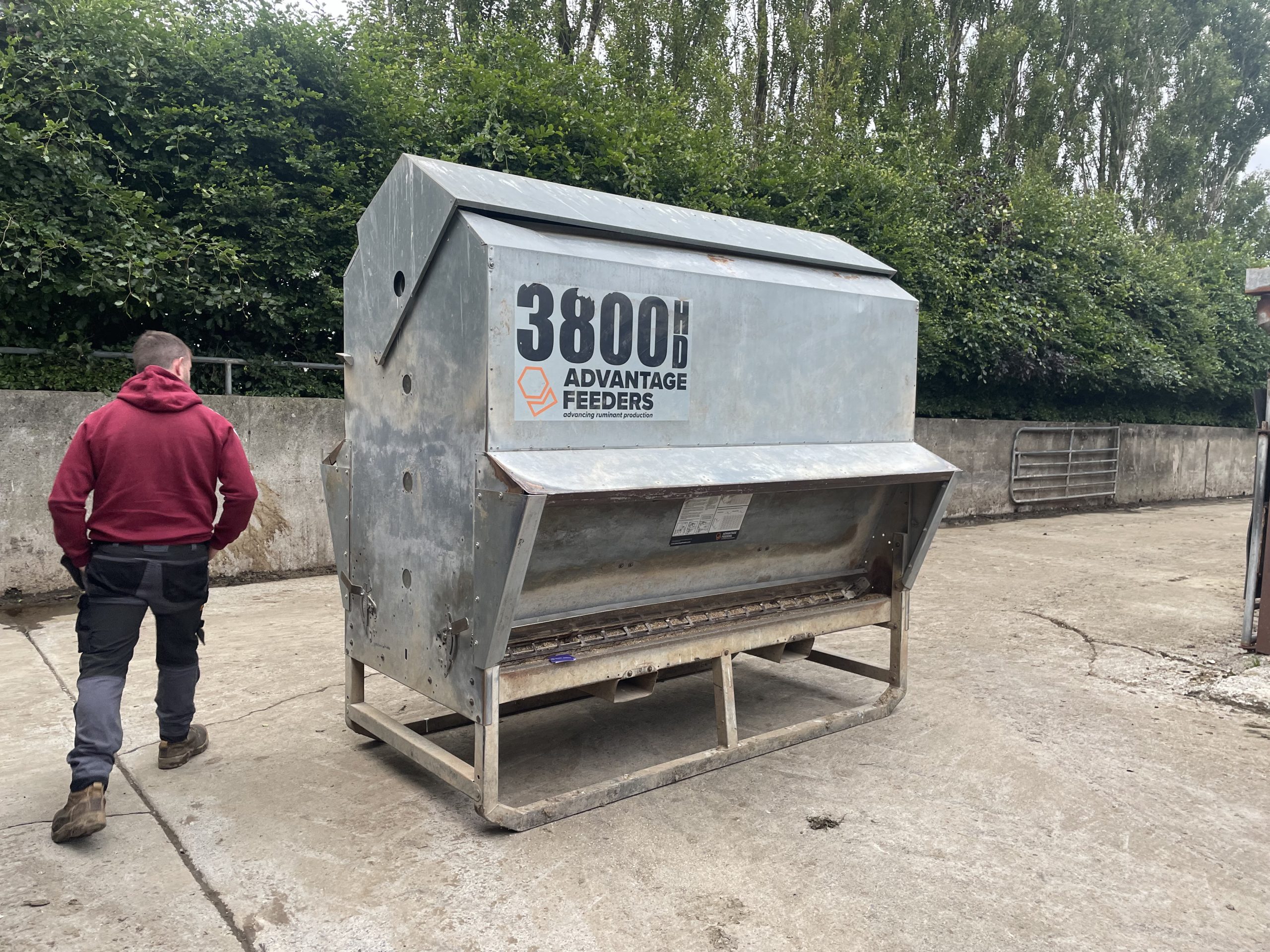 Advantage feeders are placed in the paddocks with finishing cattle to provide concentrates