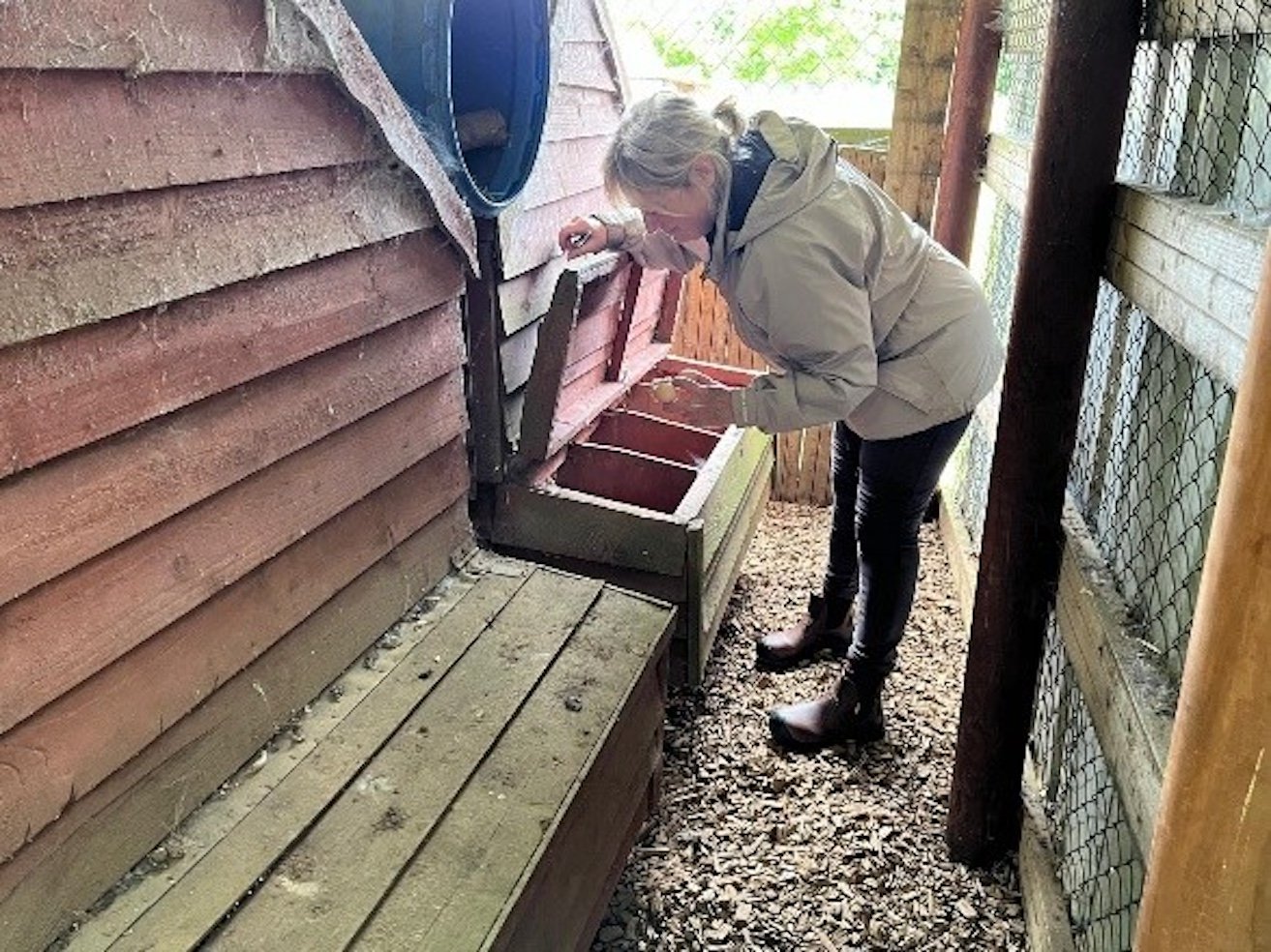 Nuala Slevin-Reck from Co. Wexford looking for eggs. Source: Social Farming Ireland