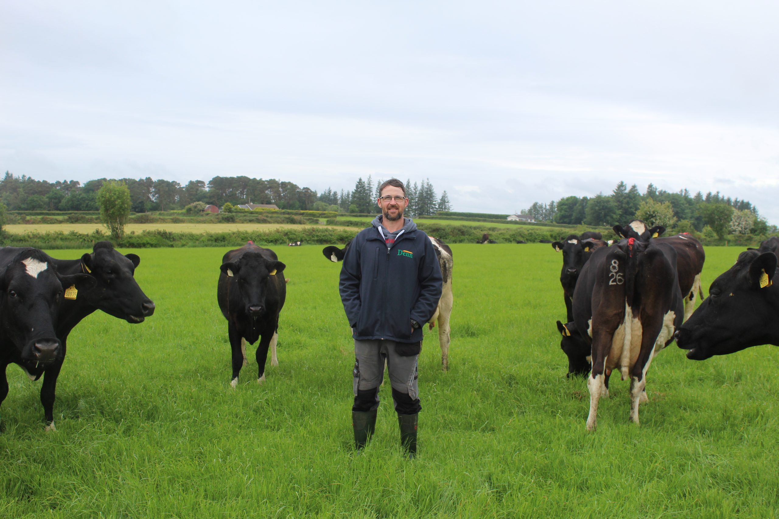 PJ Brennan with his Monataggart herd. Source: IHFA