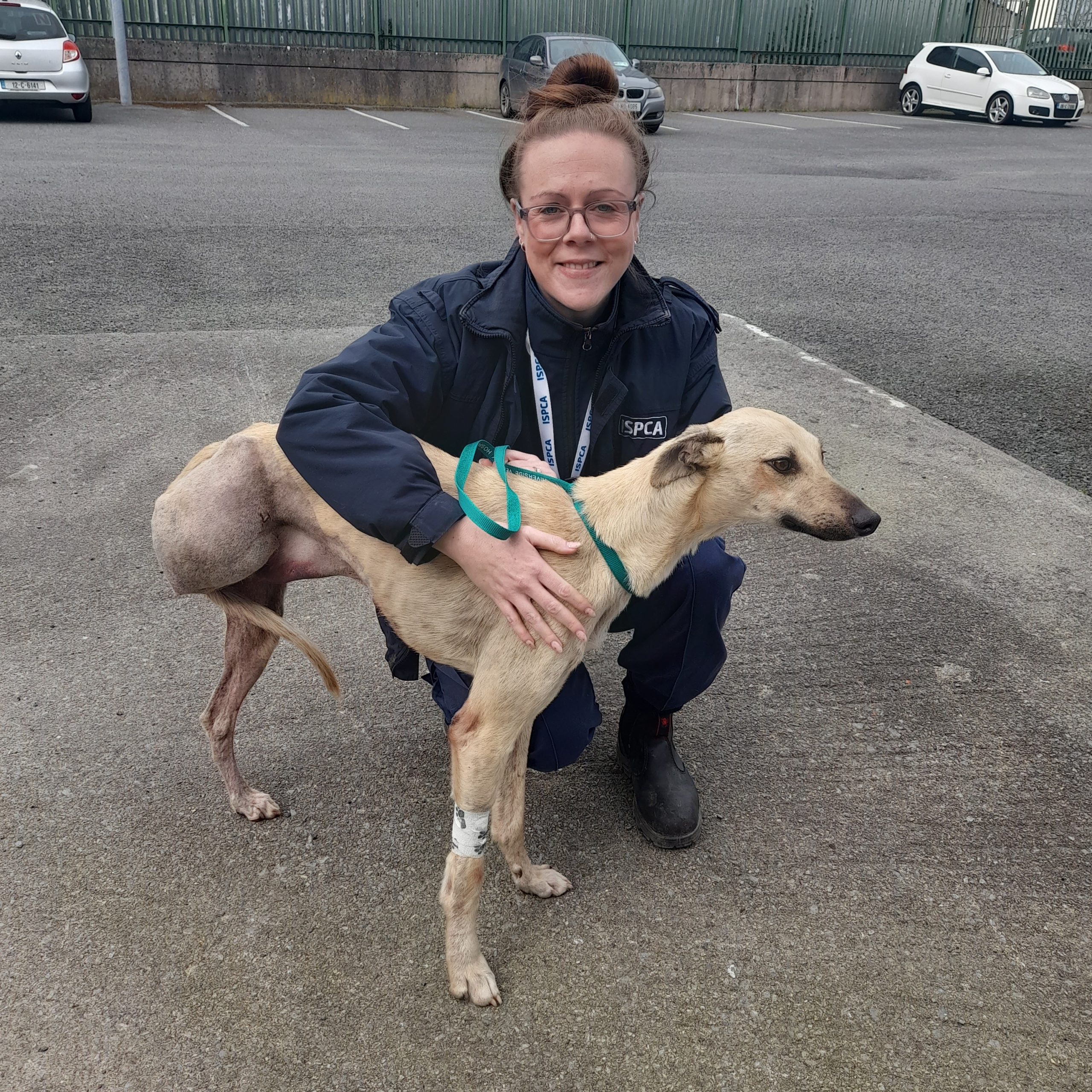 Post-operation Lenny with Senior Inspector Alice Lacey. Source: ISPCA