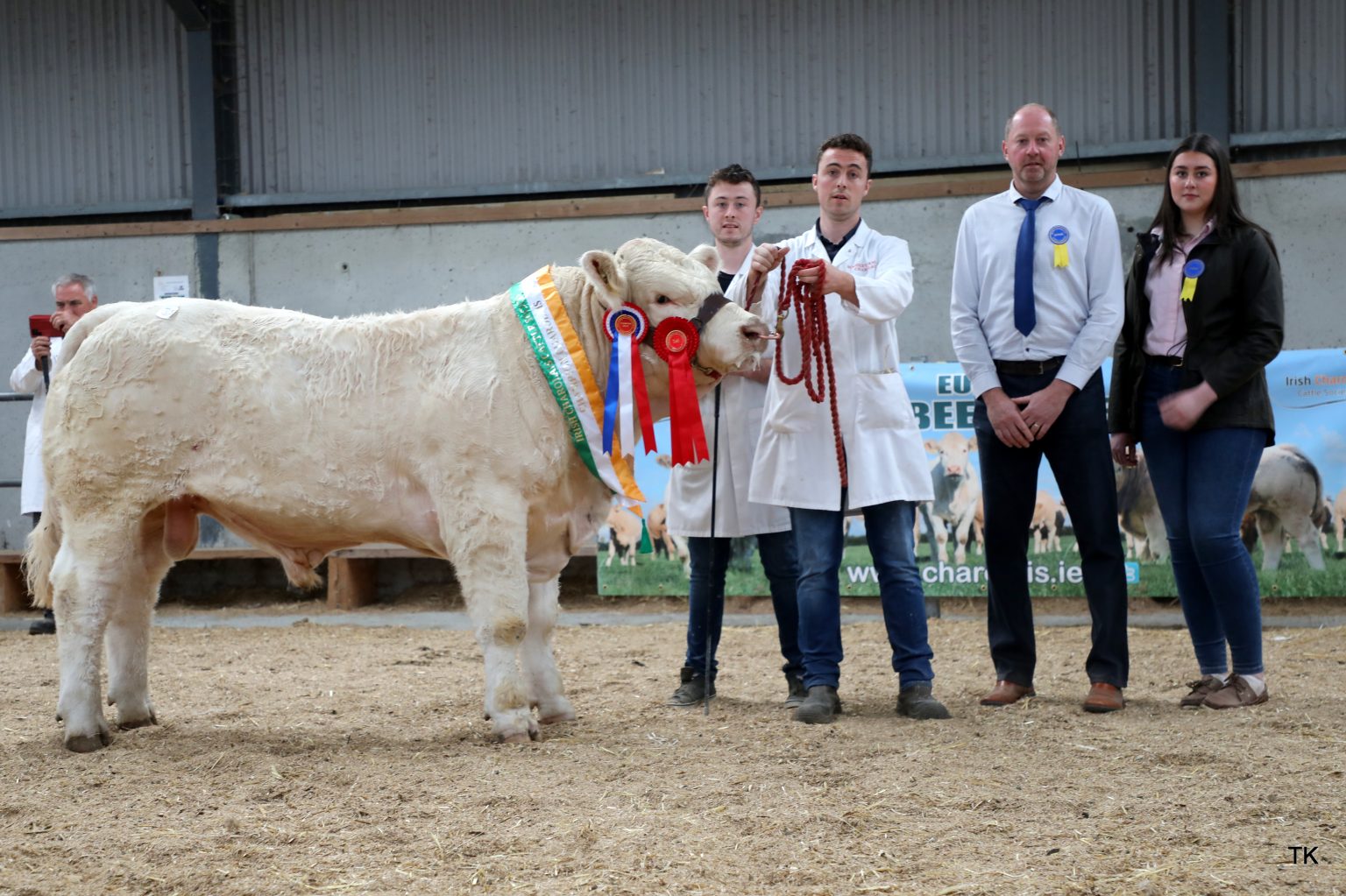 Junior Champion Rooskeynamona Volt sold for €6,000