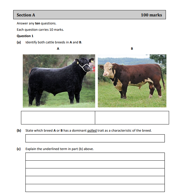 Source: State Exams Commission