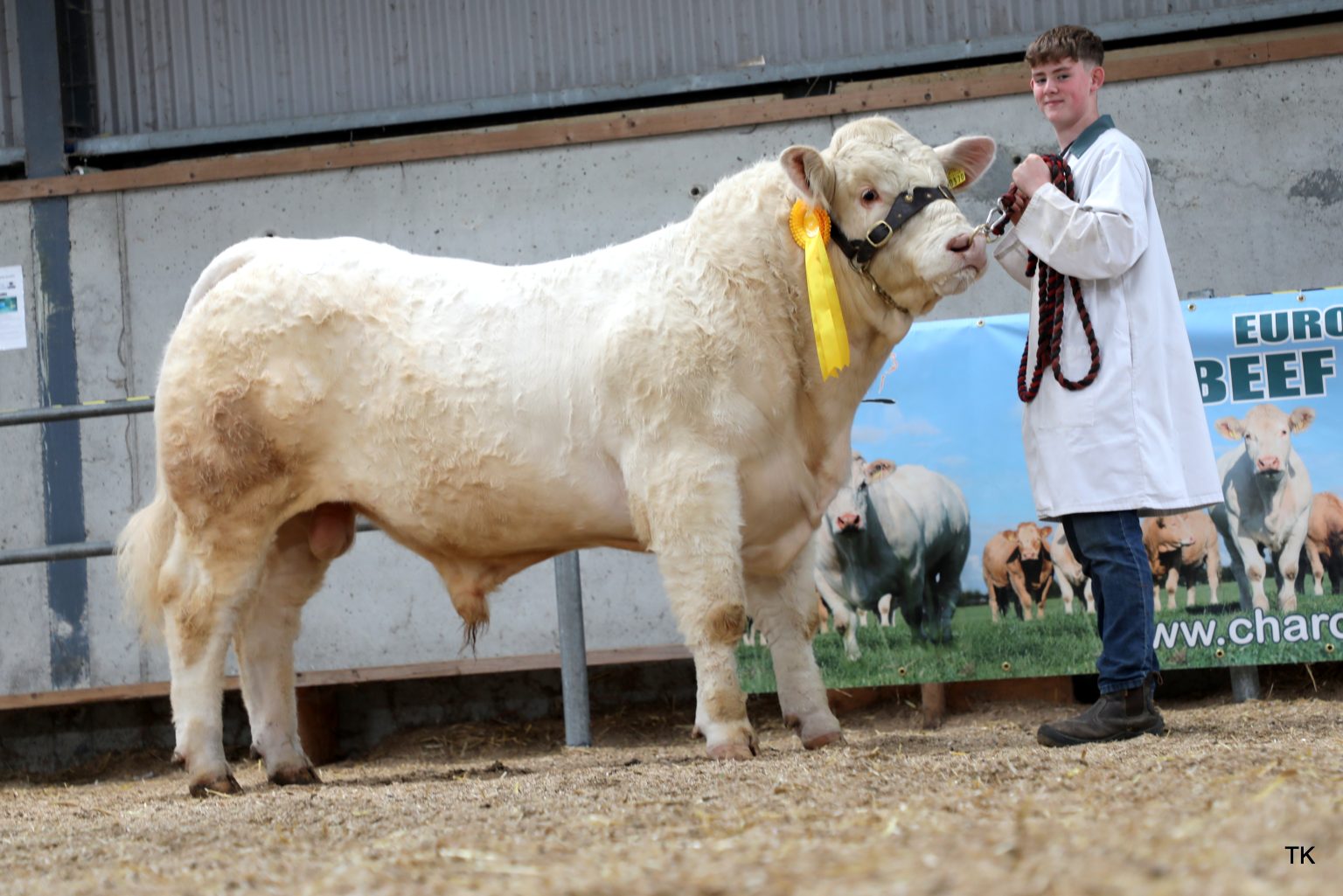 Sliabhbloom Val sold for €5,200