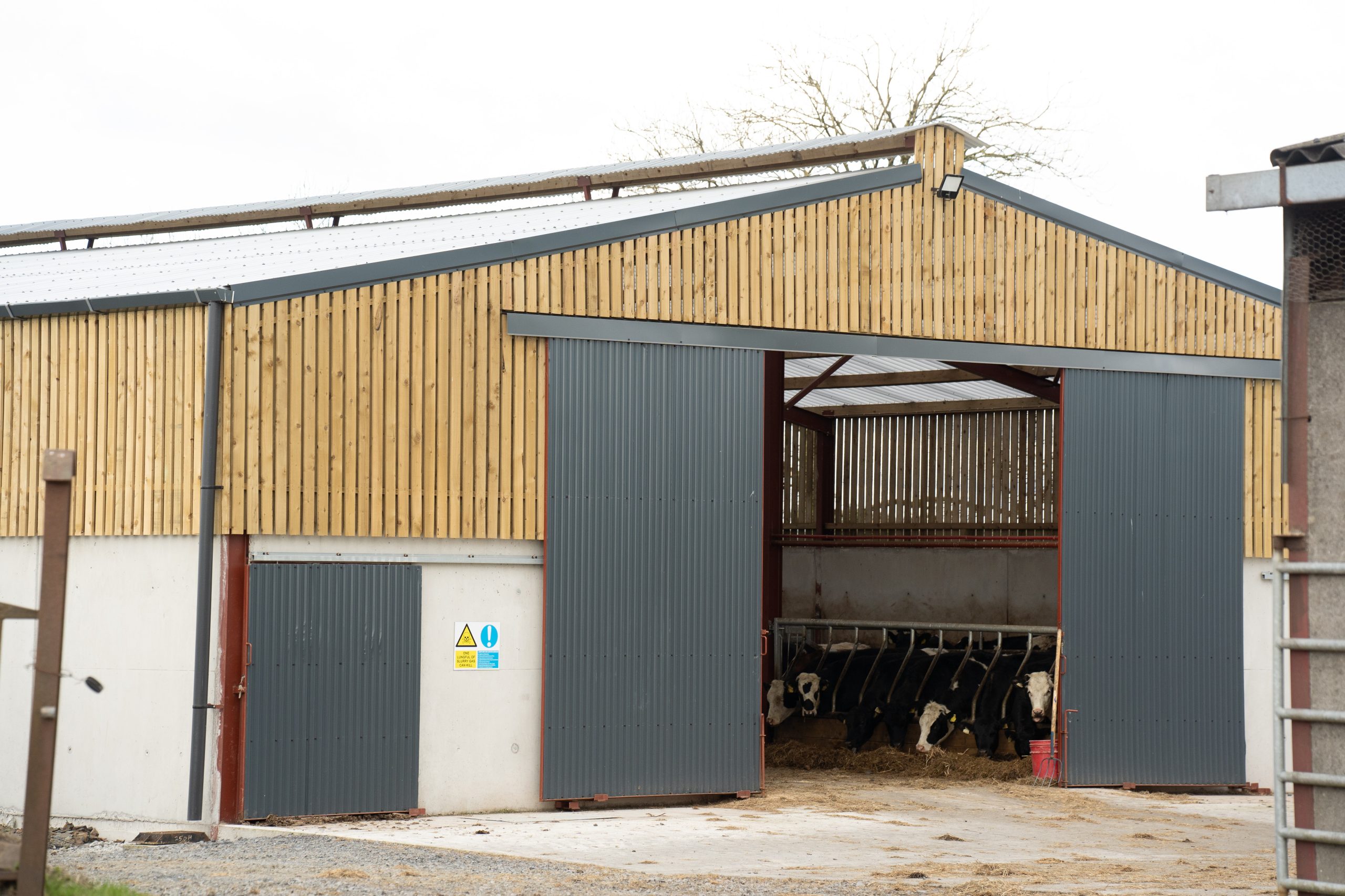 The new finishing shed. Source: Teagasc