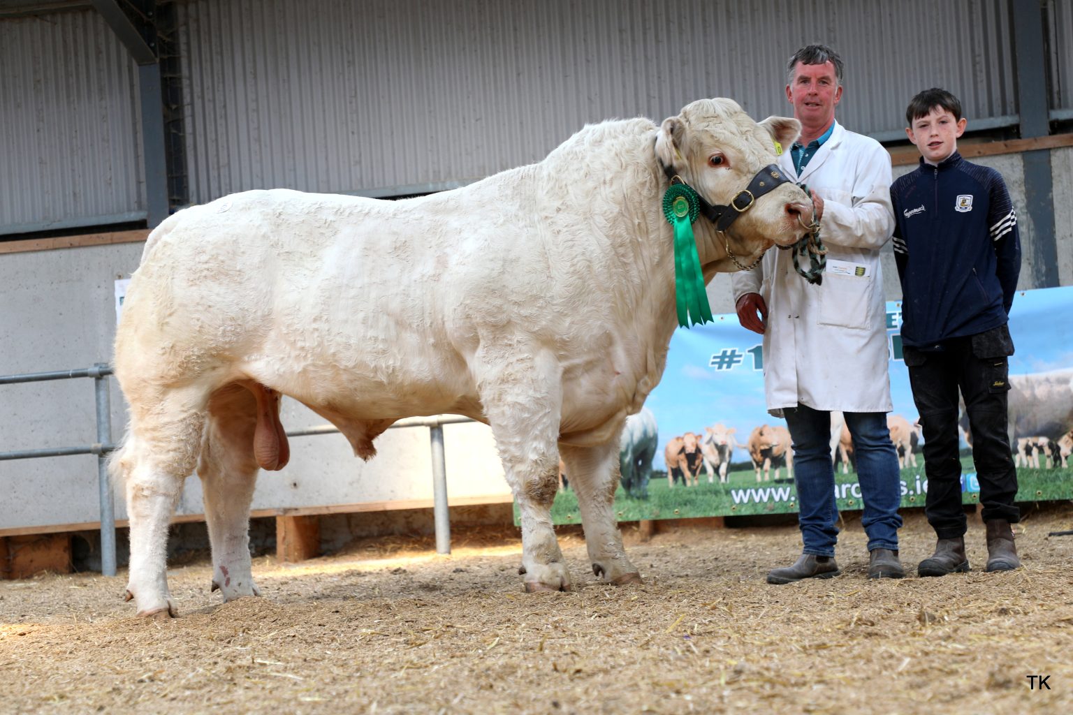 Whitepark Usaine sold for €5,200