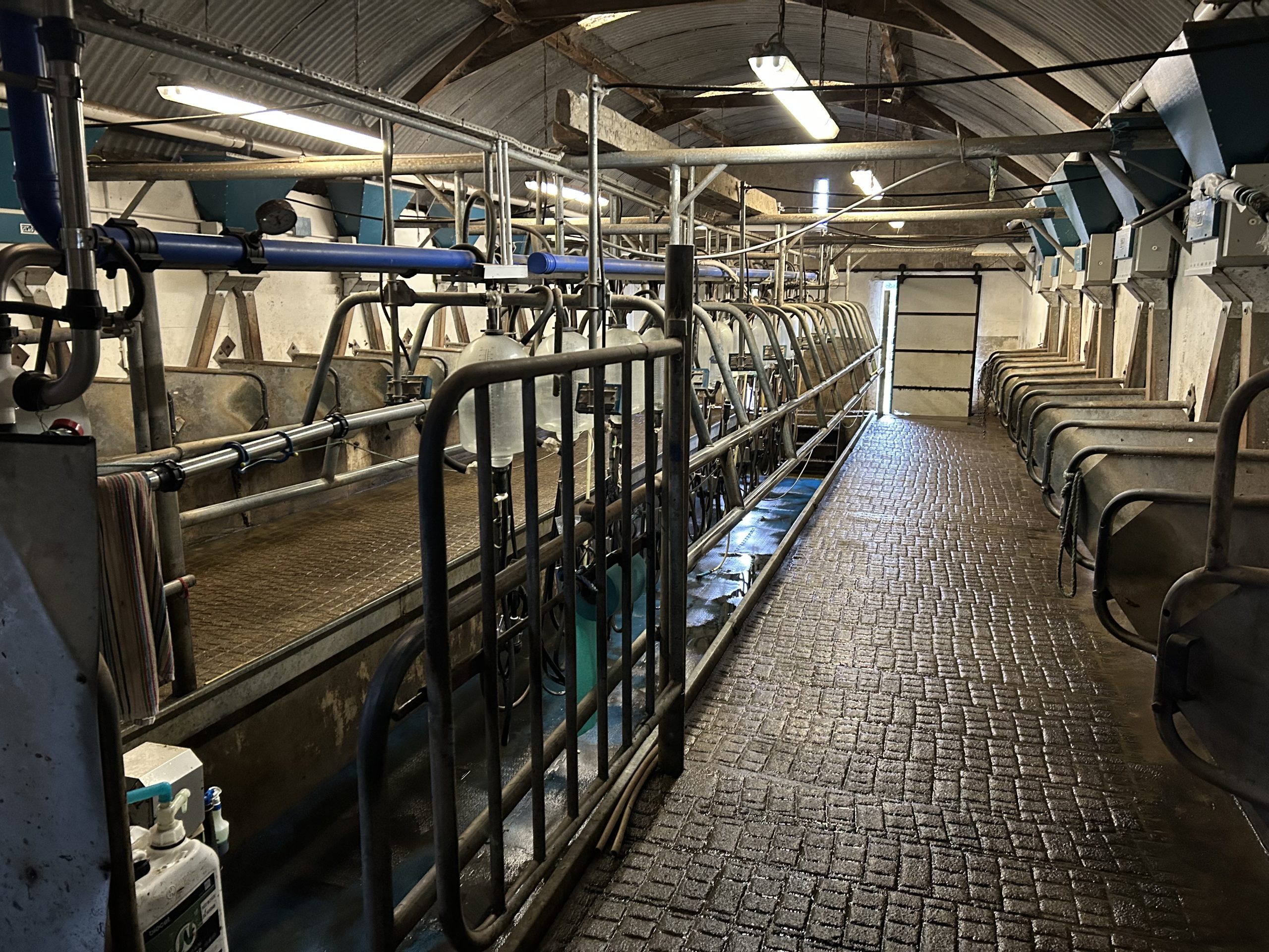 The 12-unit DeLaval parlour is kept immaculate, as the herd had an SCC of 98,000 cell/ml last year