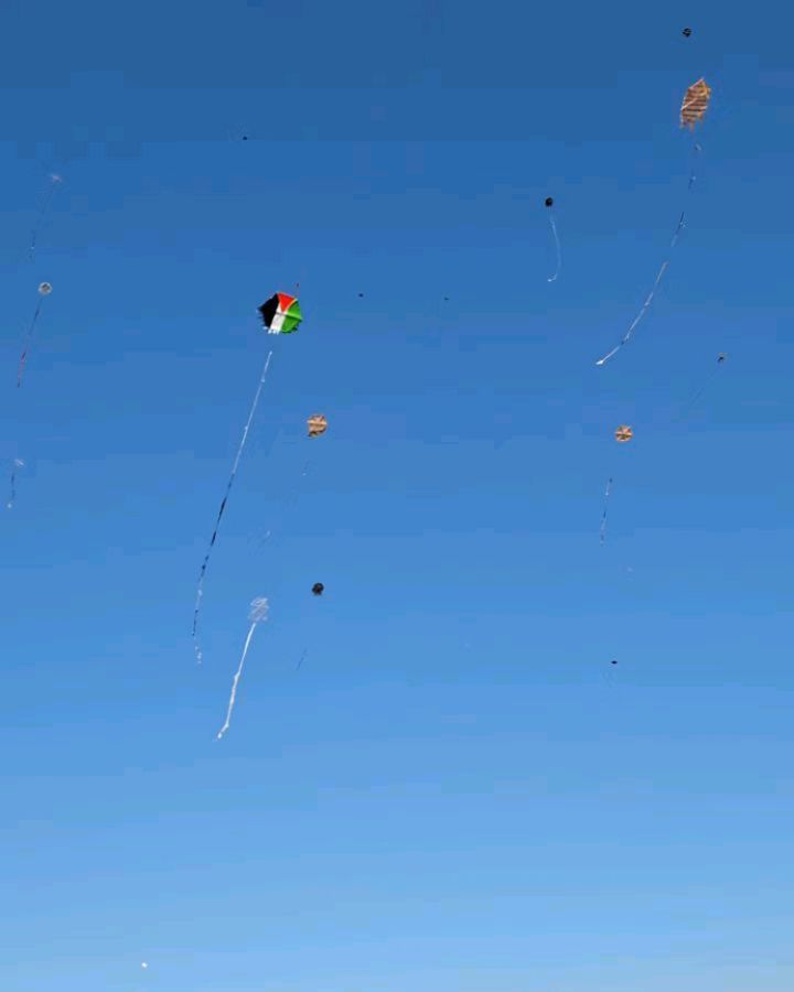 Some of the kites from the 2024 festival. Source: Green Olive Tours