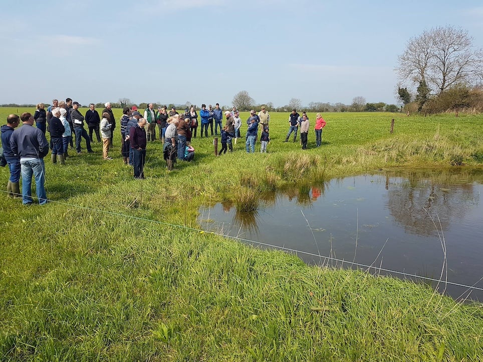 Discussion on creating a farm pond and its importance for biodiversity. Source: Donal Sheehan