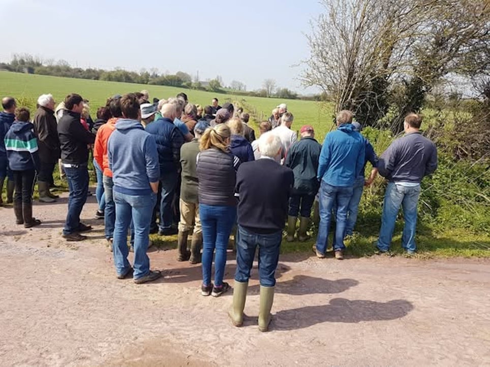 Discussion on how to manage hedgerows for biodiversity. Source: Donal Sheehan