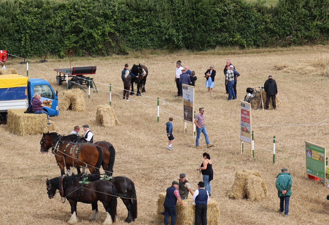 Source: Rathangan Country Fair Facebook
