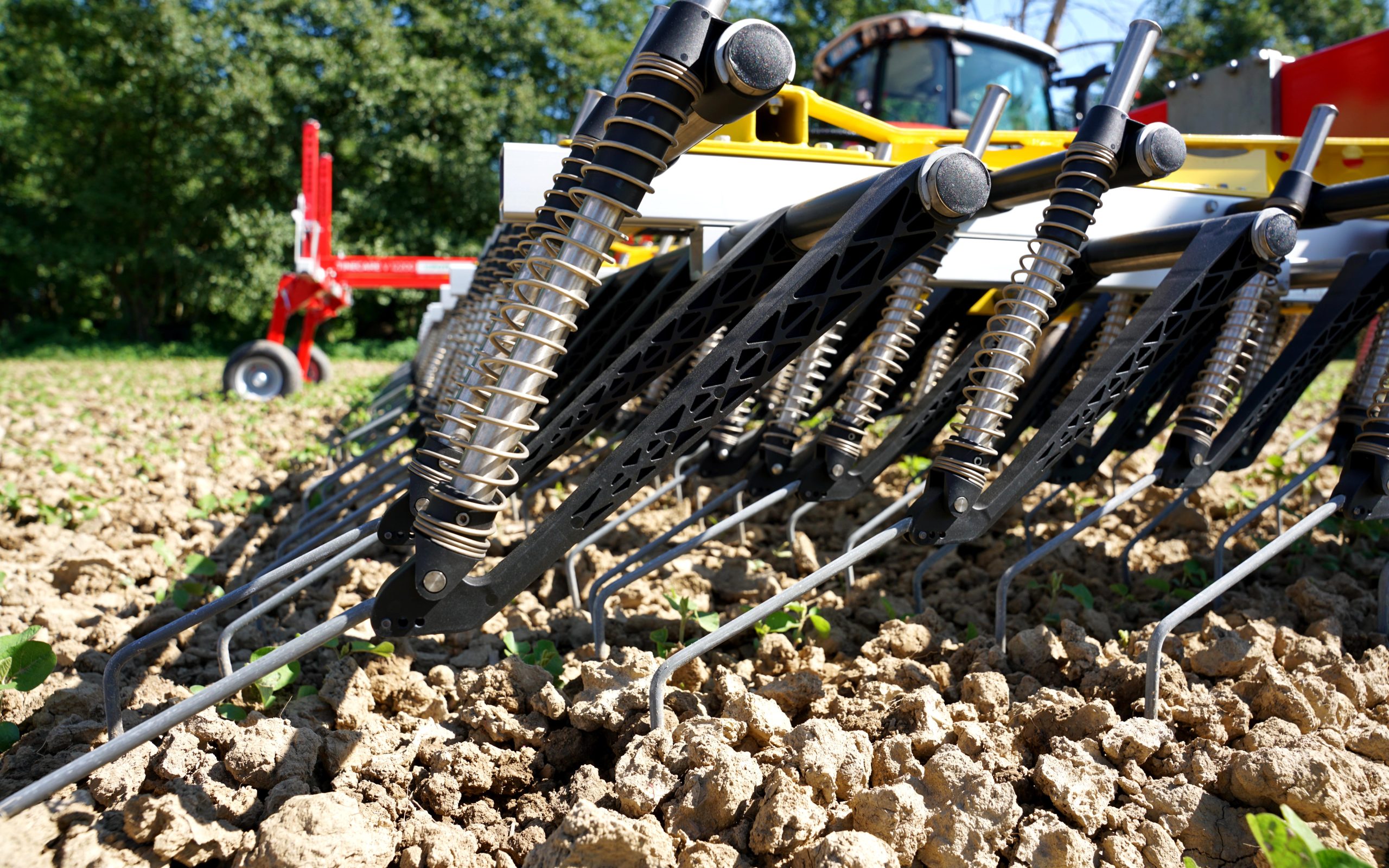 Soil can appear  less healthy when dry