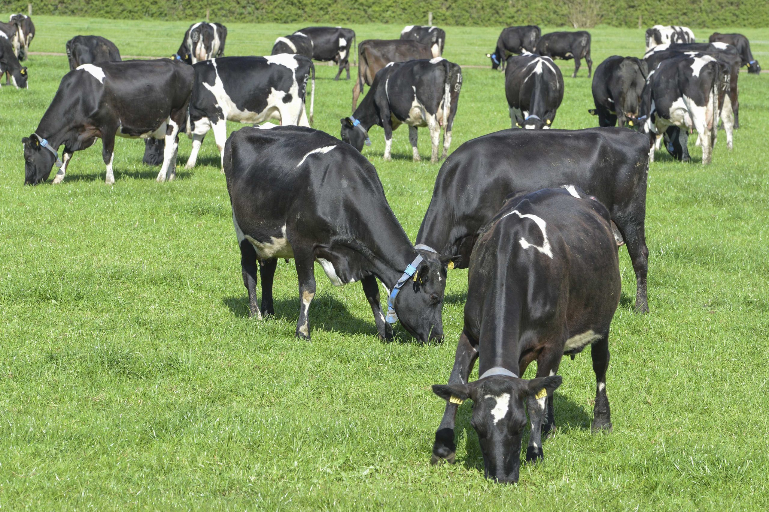 Source: Teagasc