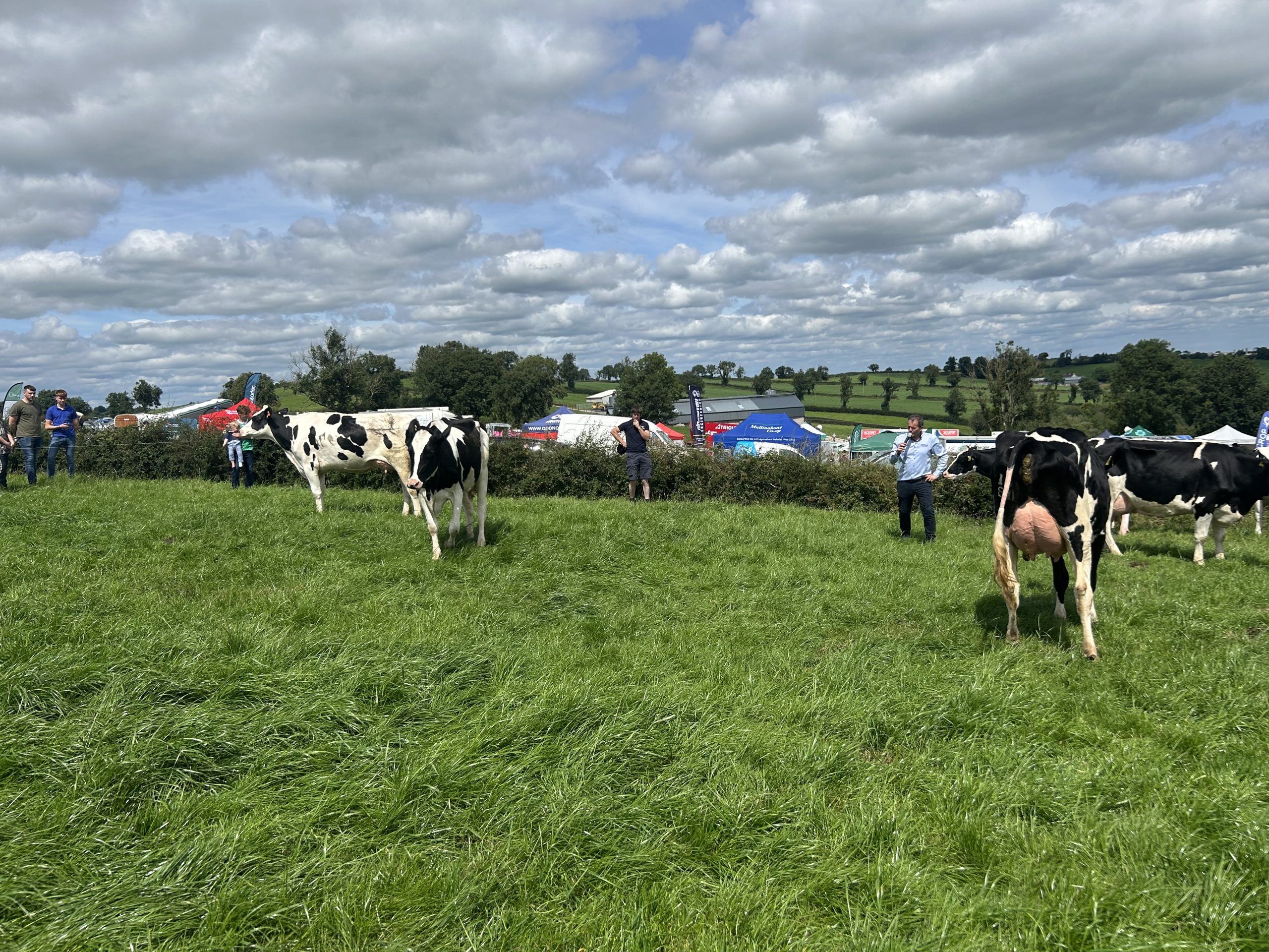 Padraic Greenan talking attendees through the different cow families and production of individual cows