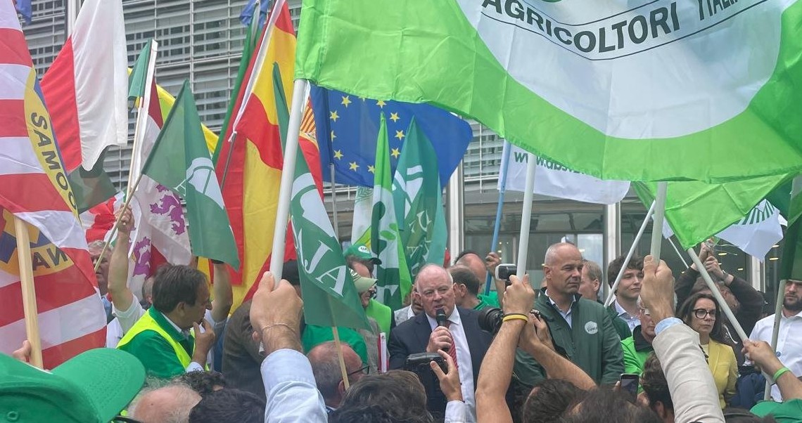 Francie Gorman addressing farmers' march in Brussels. Source: IFA social media