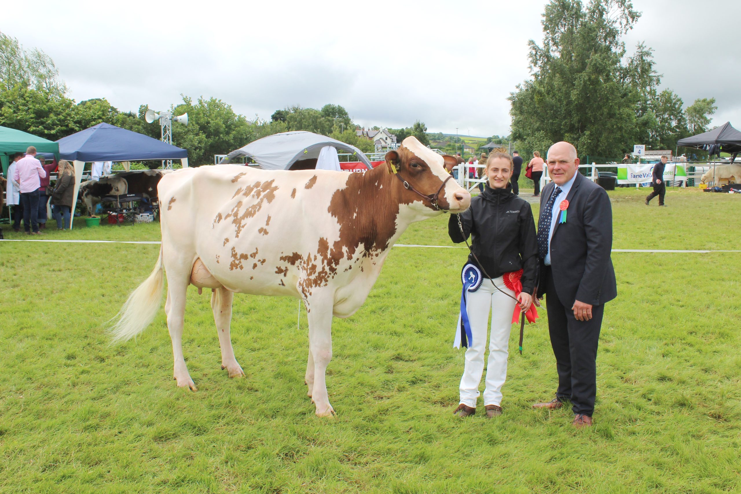 The Inter-Breed Heifer in Milk Champion at Omagh Show 2025
