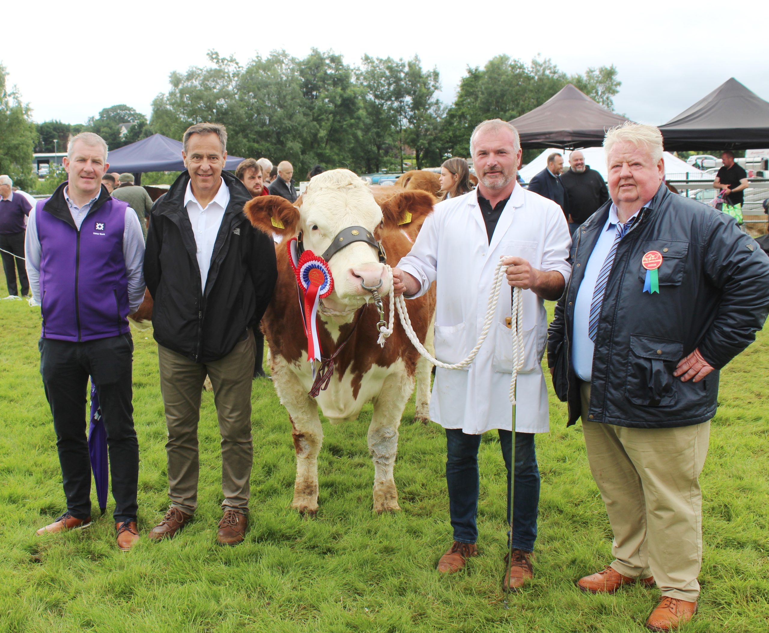 Ballinalare Farm Nikita, the Supreme Cattle Champion at Omagh Show 2025