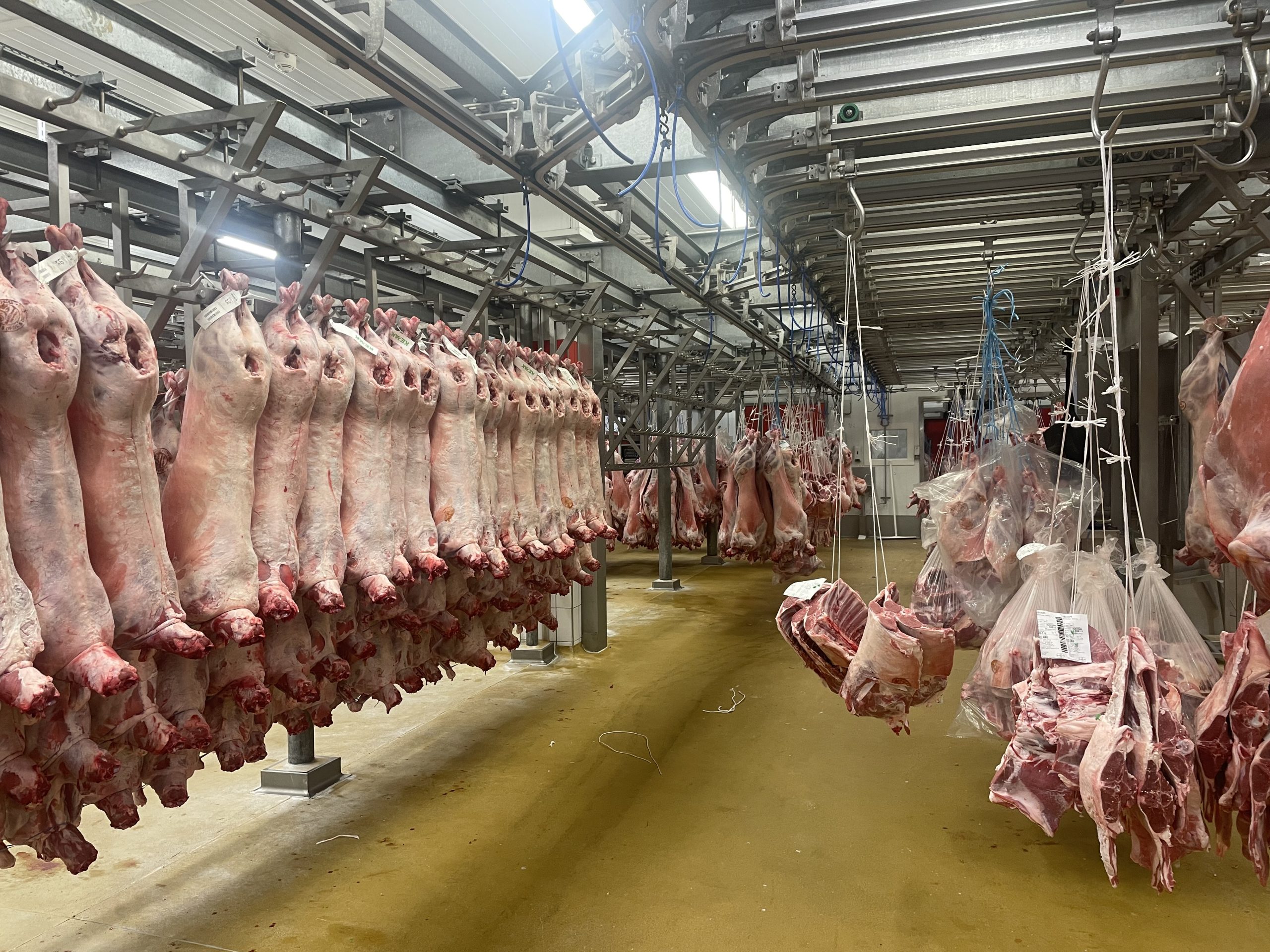 Lambs slaughtered at the Kepak Athleague site in Co. Roscommon that were sold at Rungis Market on the day of the visit