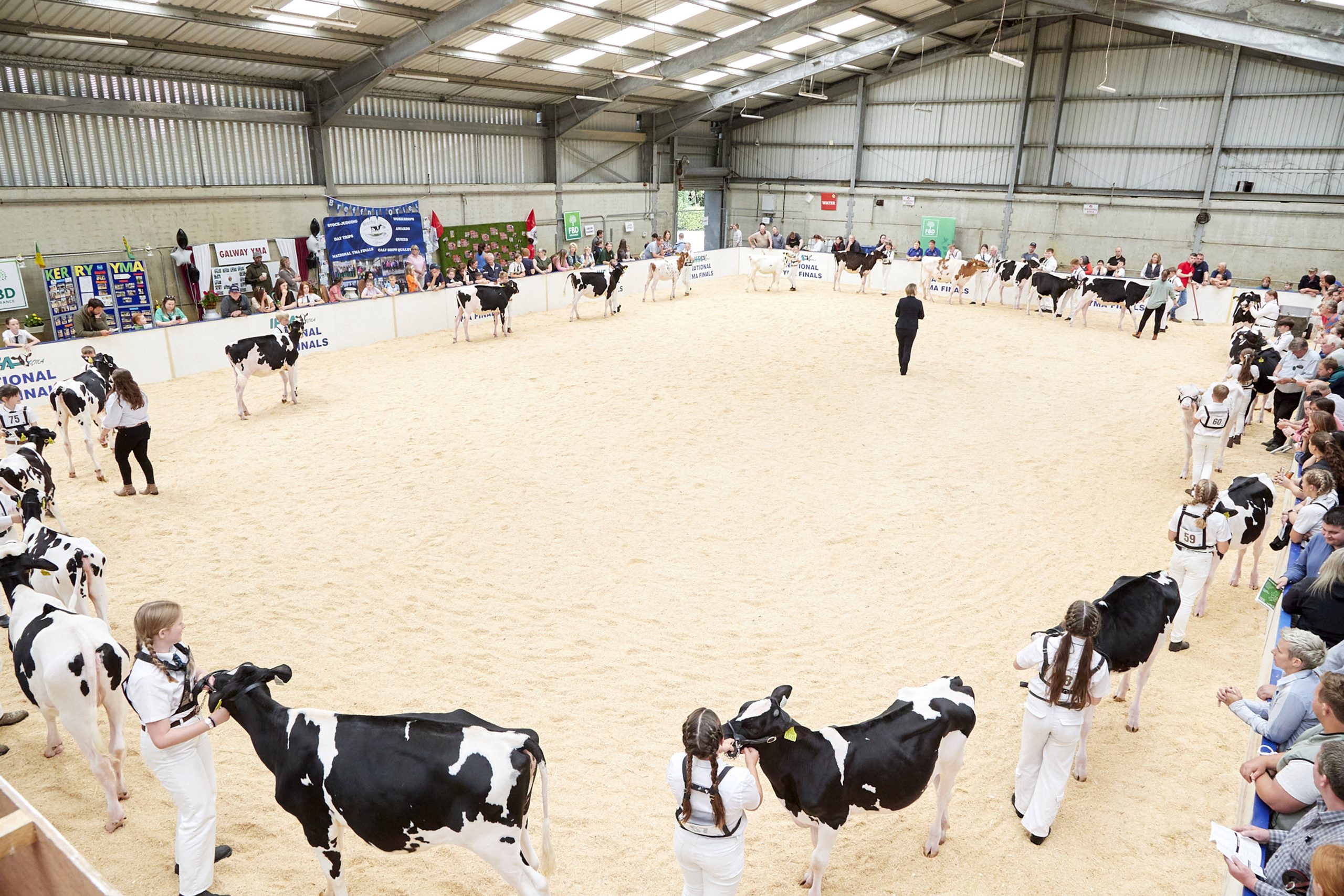 View of the IHFA FBD National YMA Finals 2025, with Anna Stable judging in the ring. Source: Maria Kelly