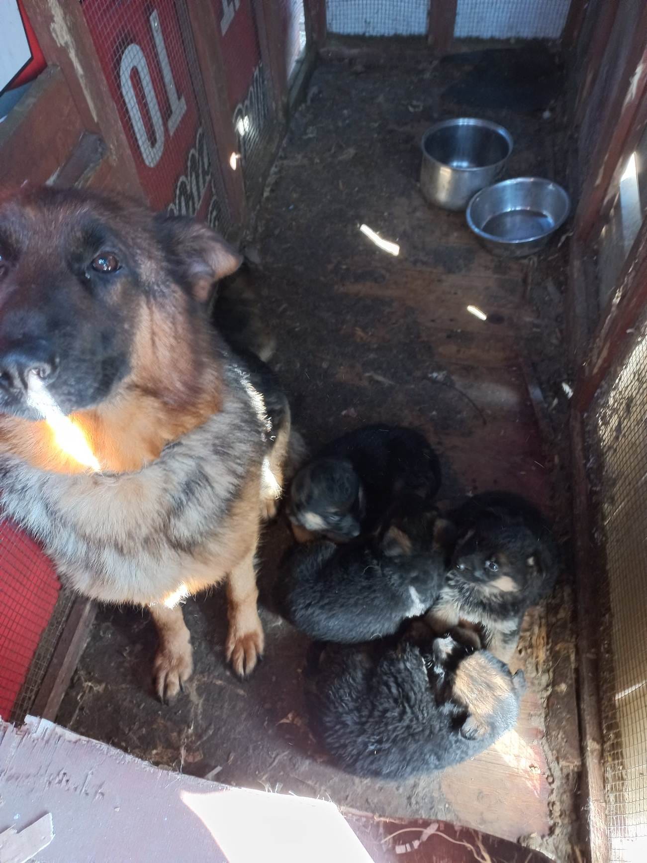 Image source: ISPCA