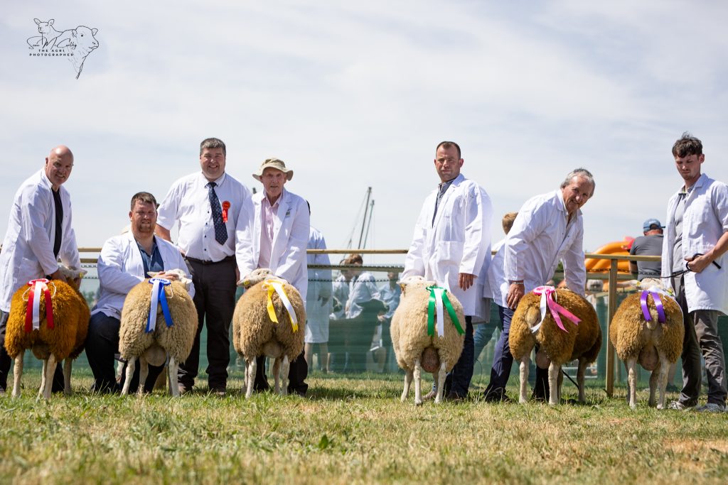 Ram Lamb Class. L-R: John McTigue; Barry Cunningham; judge Edward Buckley; Liam Dunne; John Kennedy; Paul Smyth; David Smyth
