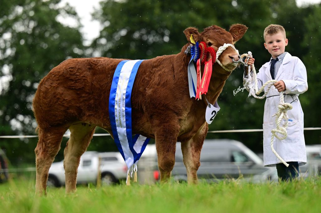 The reserve overall championship went to Drumhilla Alice, bred by Gareth Corrie, and shown by his seven-year-old son Gareth, from Newtownards, Co. Down