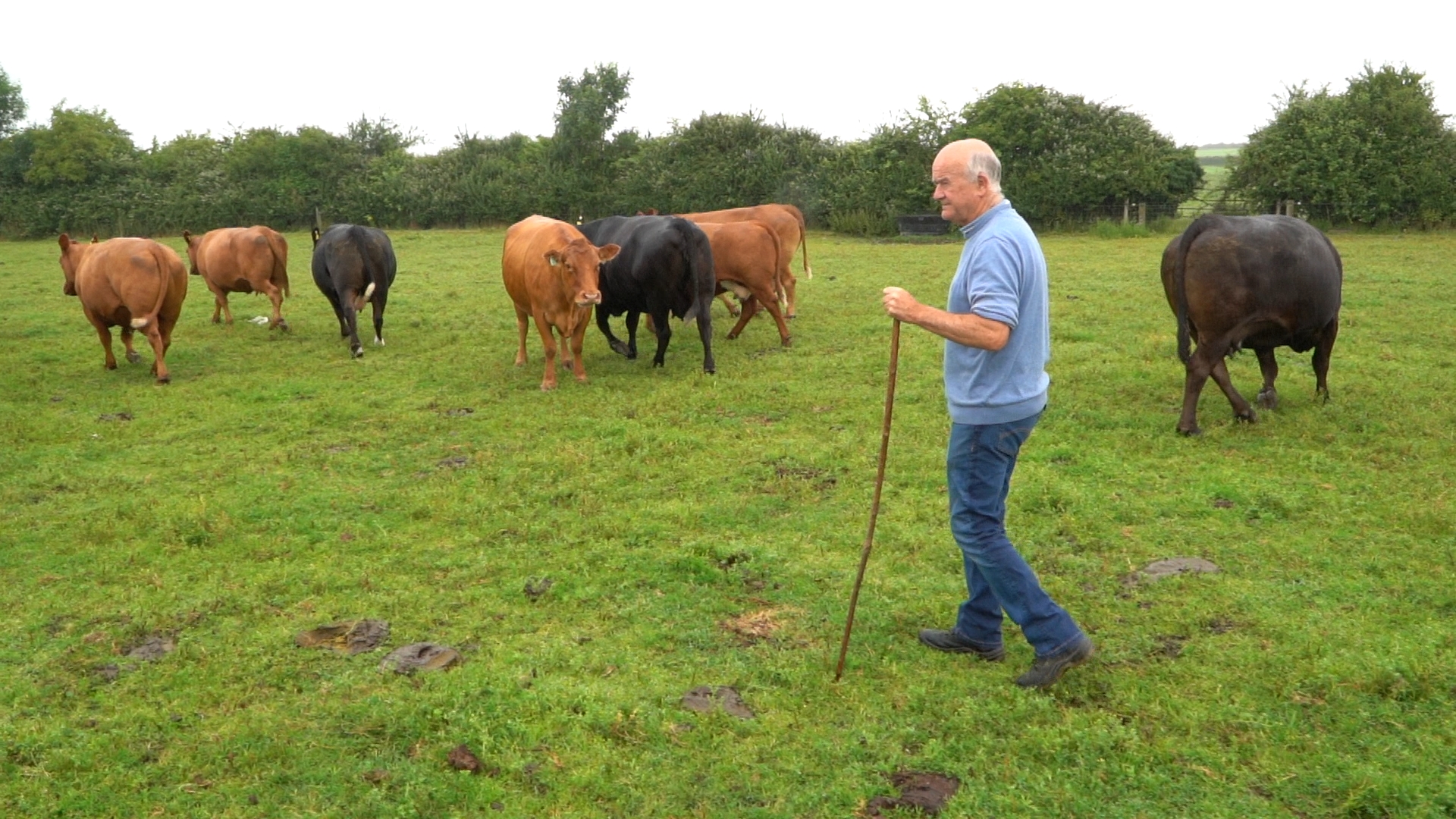 Robin Talbot on his Co. Laois farm. Source: ICBF