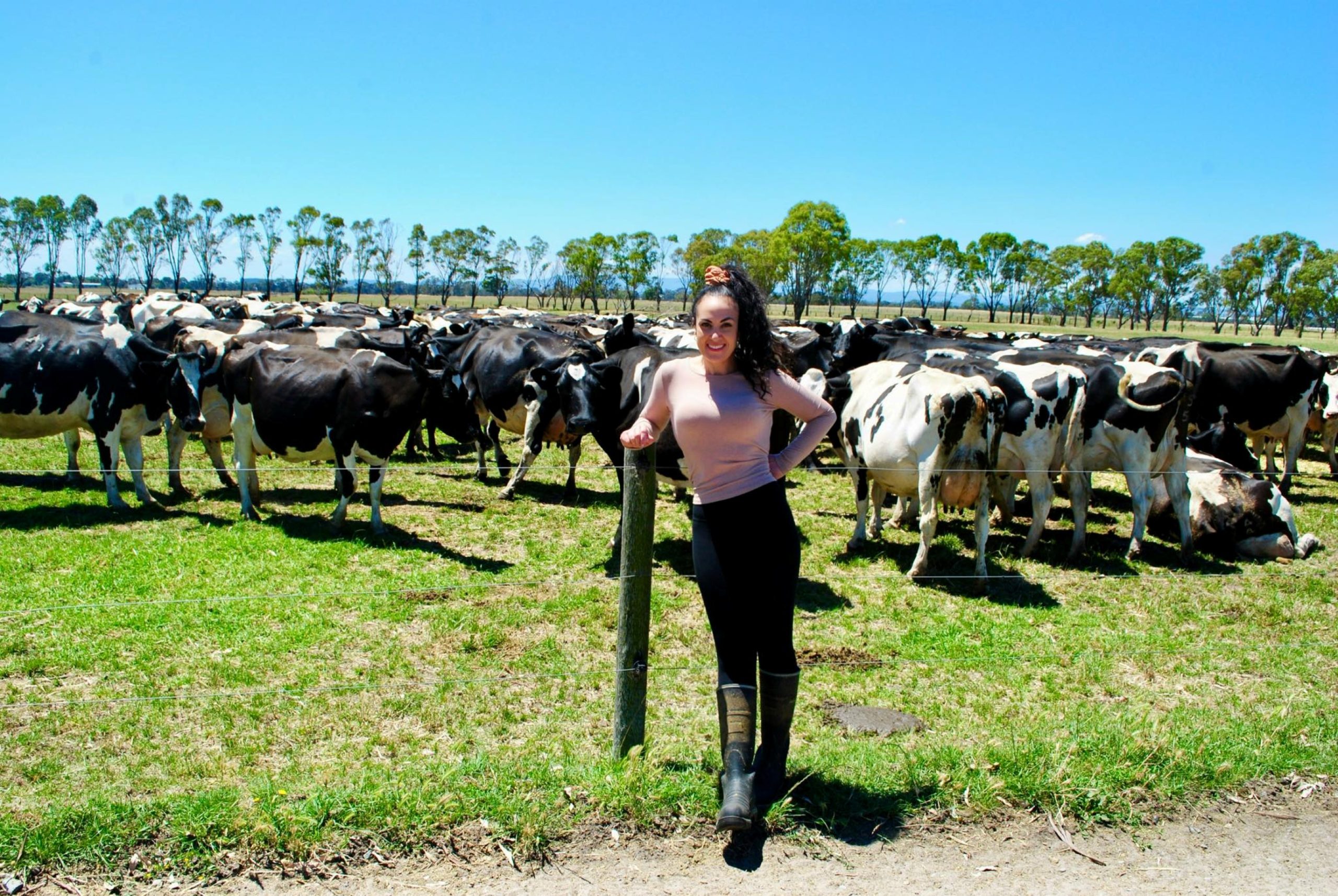 Sarah and her dad milk 280 Holstein Friesian cows on their farm