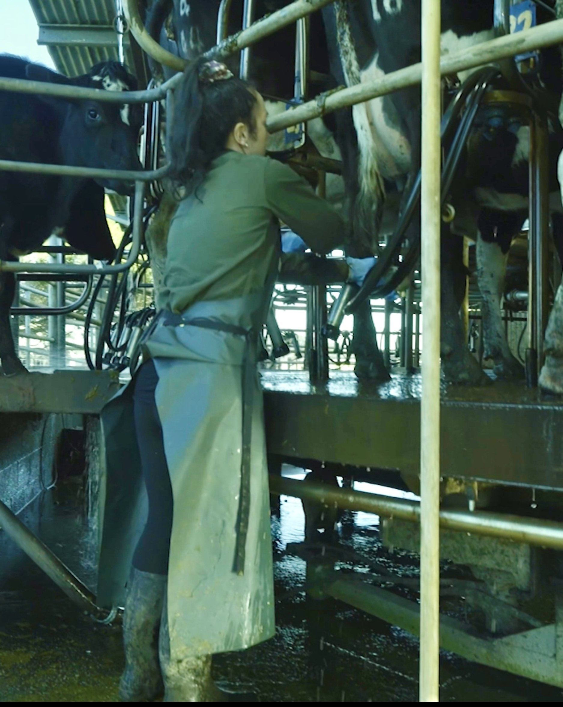 The Kelly family installed a 32 cow rotary parlour back in 1993