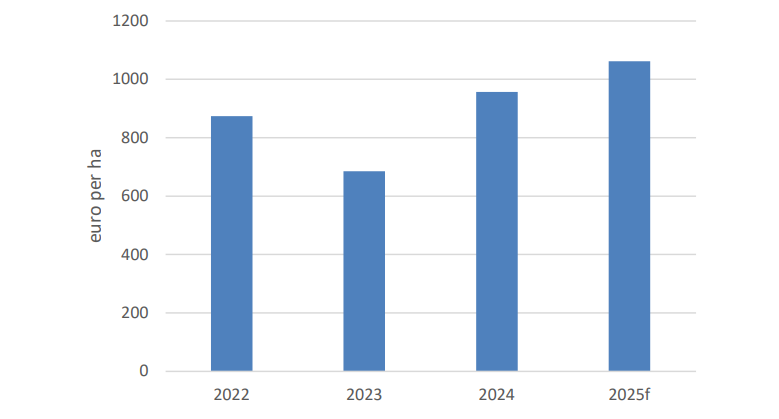 Mid-season lamb gross margins 2022-2025. Source: Teagasc
