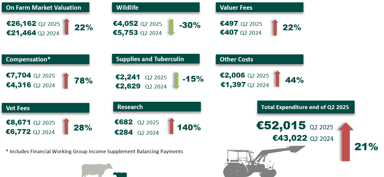 TB programme expenditure to end of Q2 2025. Source: DAFM