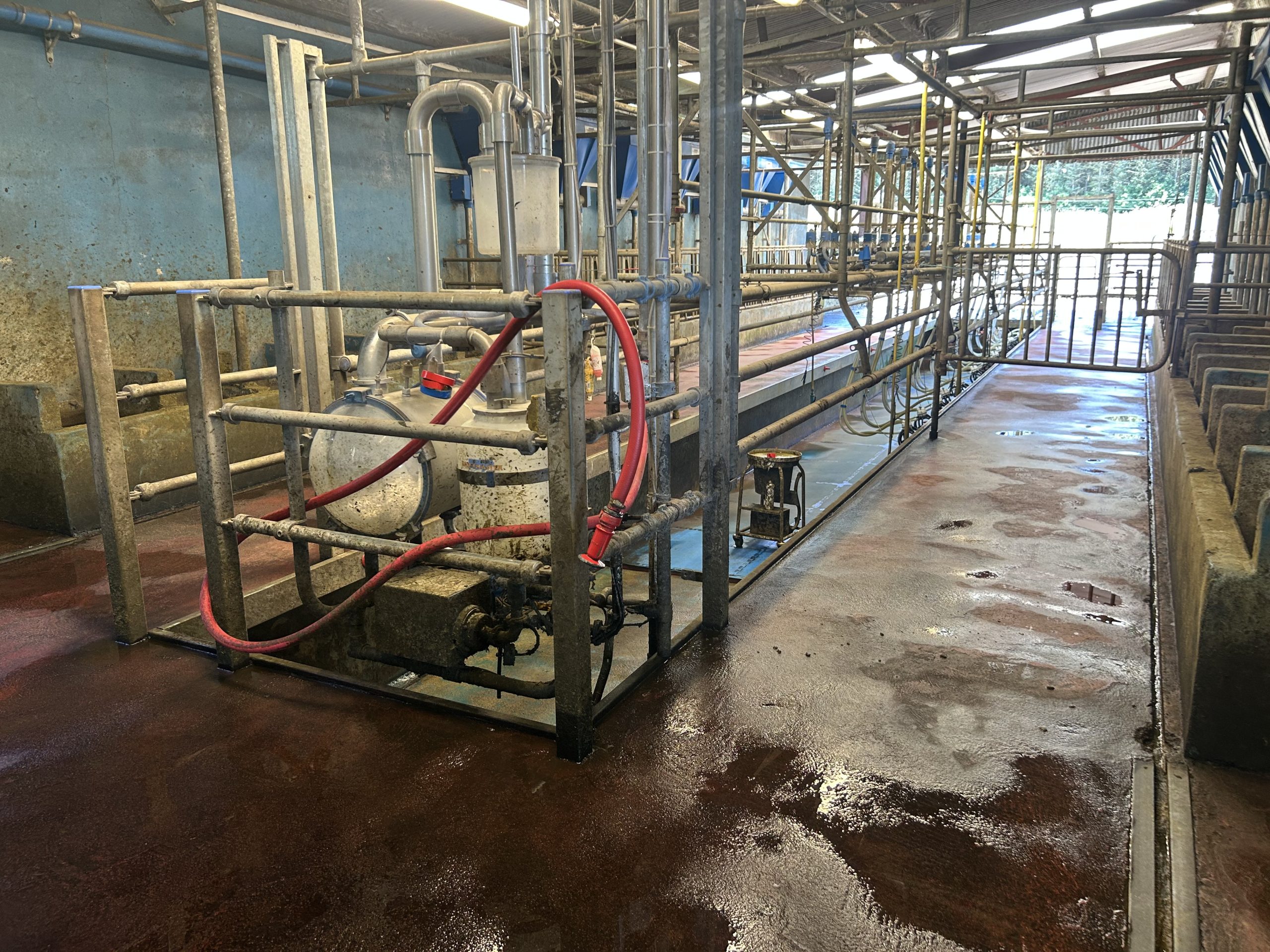 The 14-unit milking parlour on the farm with space for another six units