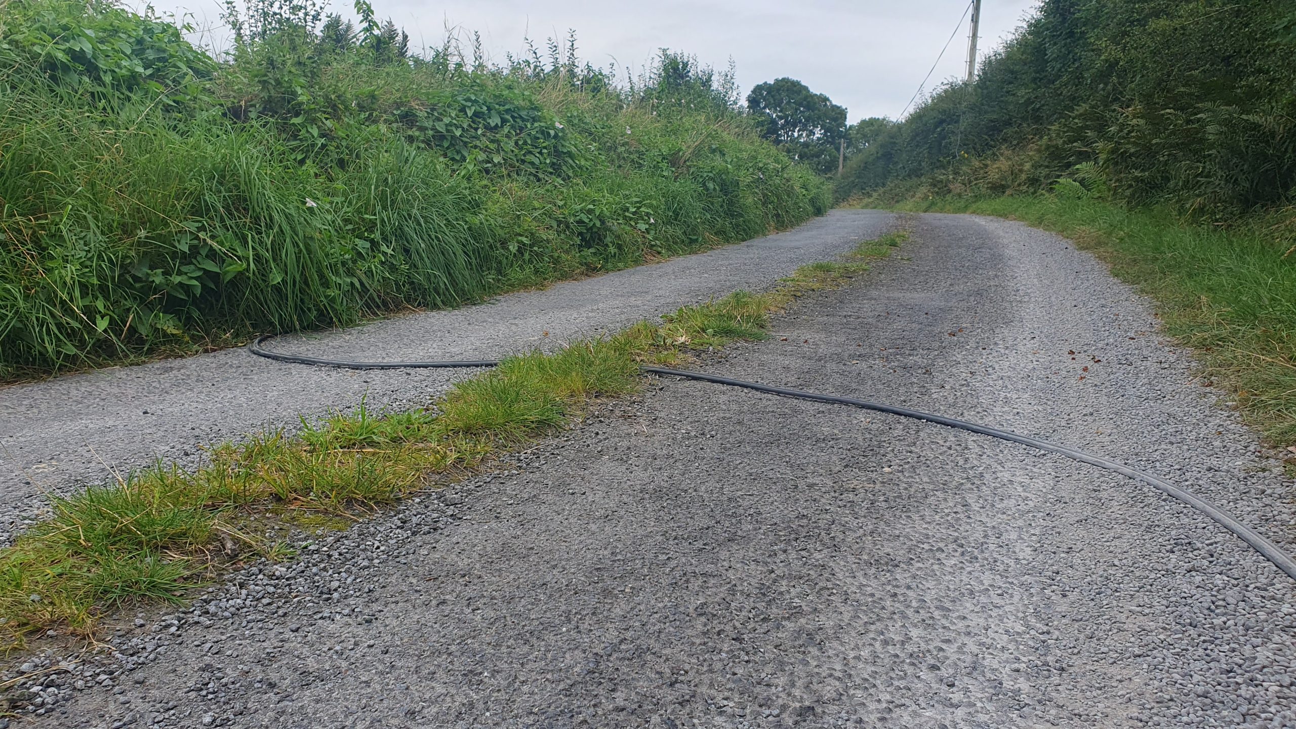 Wire lying across a rural road
