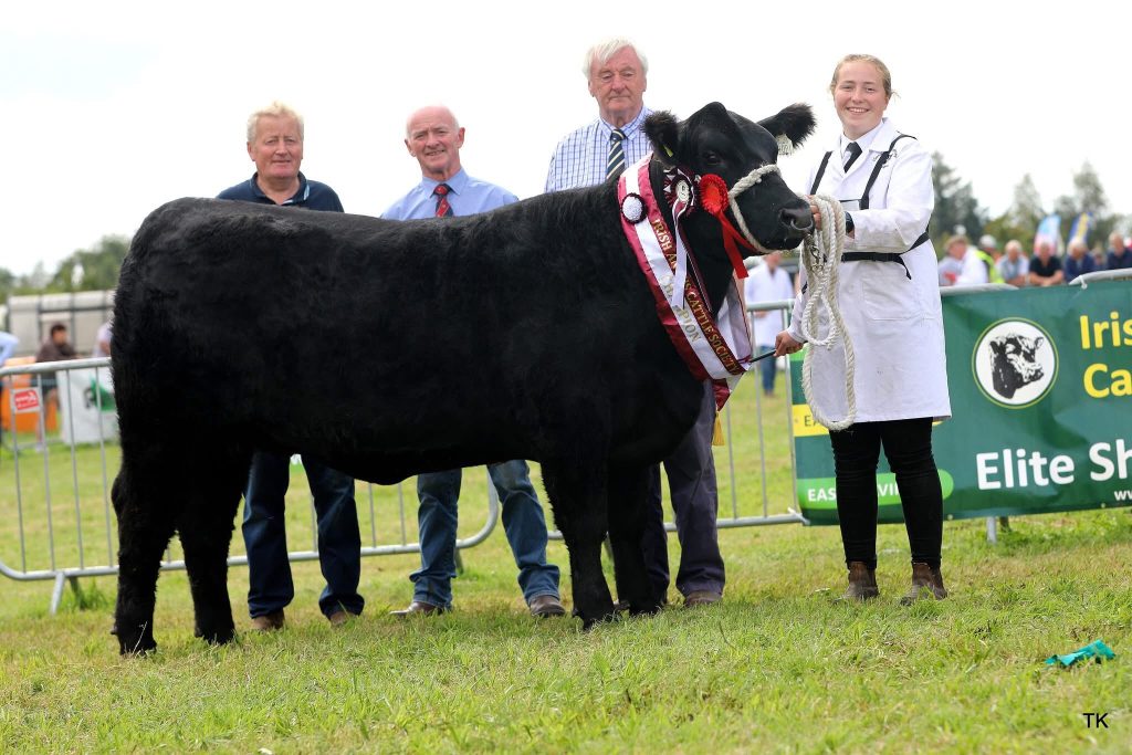 Angus Champion and overall Interbreed Champion of the show was Clooncarne Winnie, owned by Fiona Mulligan