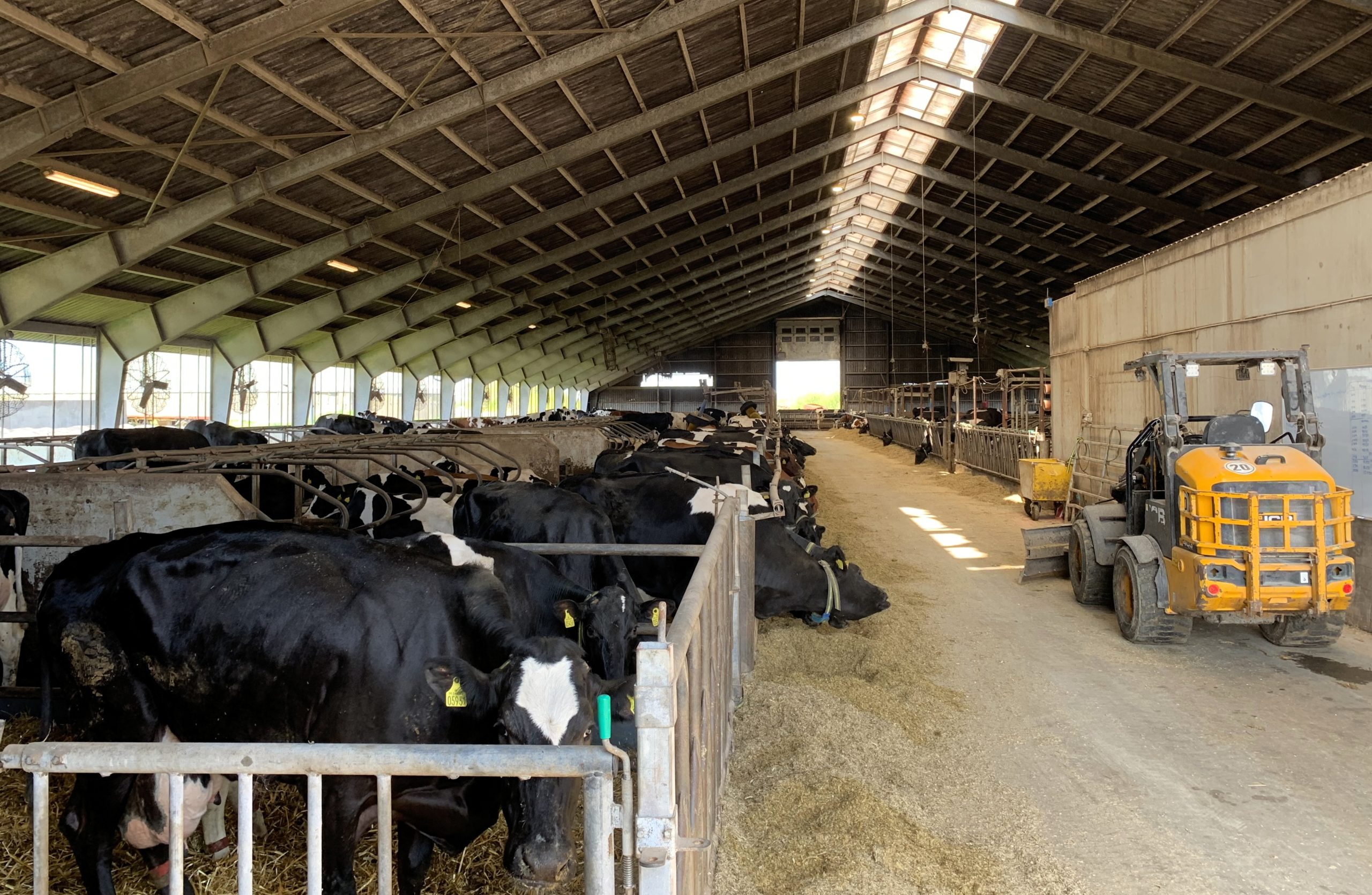 There are currently 600 cows milking in the herd but Anders would like to increase that to 1,100