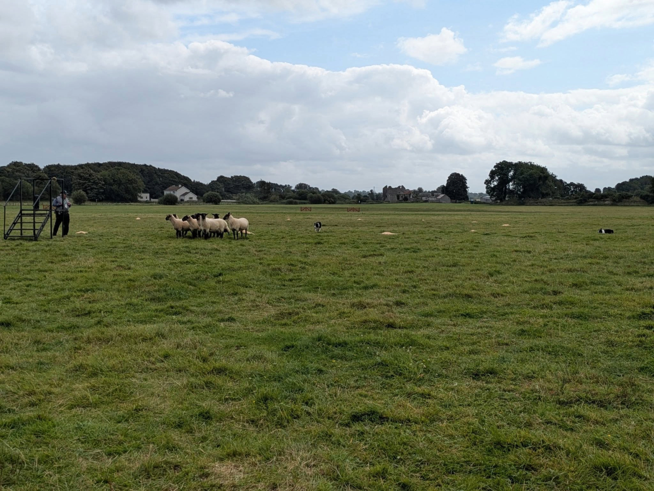 Con McGarry with his doubles sheep dog team. Source: Irish National Sheep Dog Trials Facebook