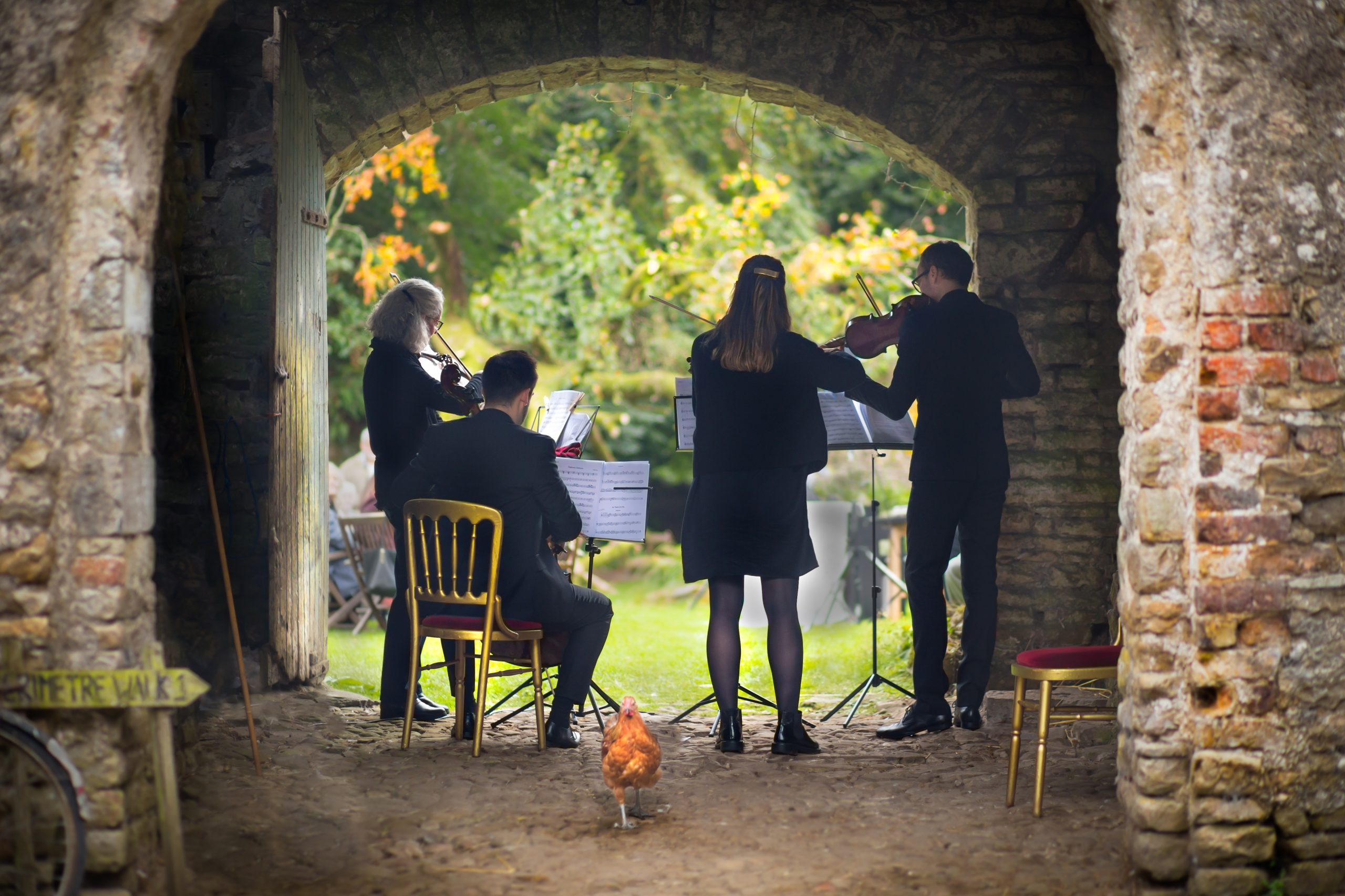 Company of Trees to perform at HedgeRow Festival 2025