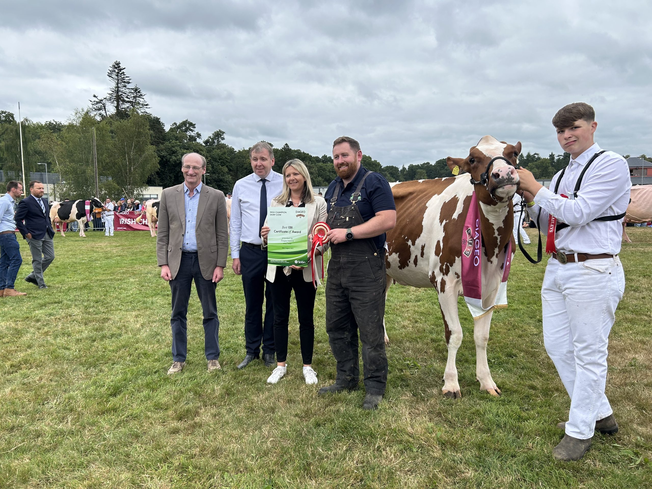 The winner of the highest EBI cow at the Baileys Cow competition, James Beattie on the halter